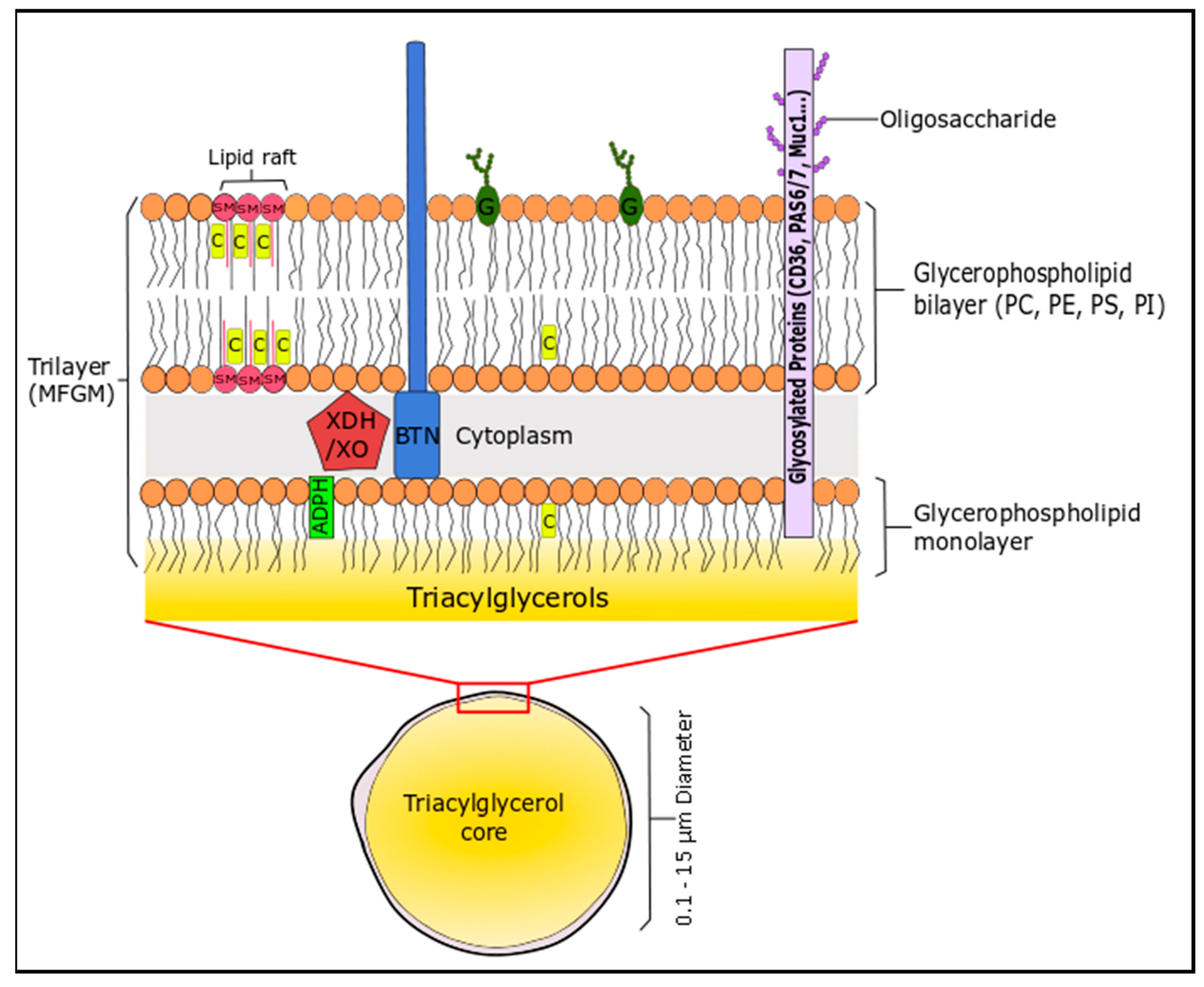 Molecules 22 01964 g002