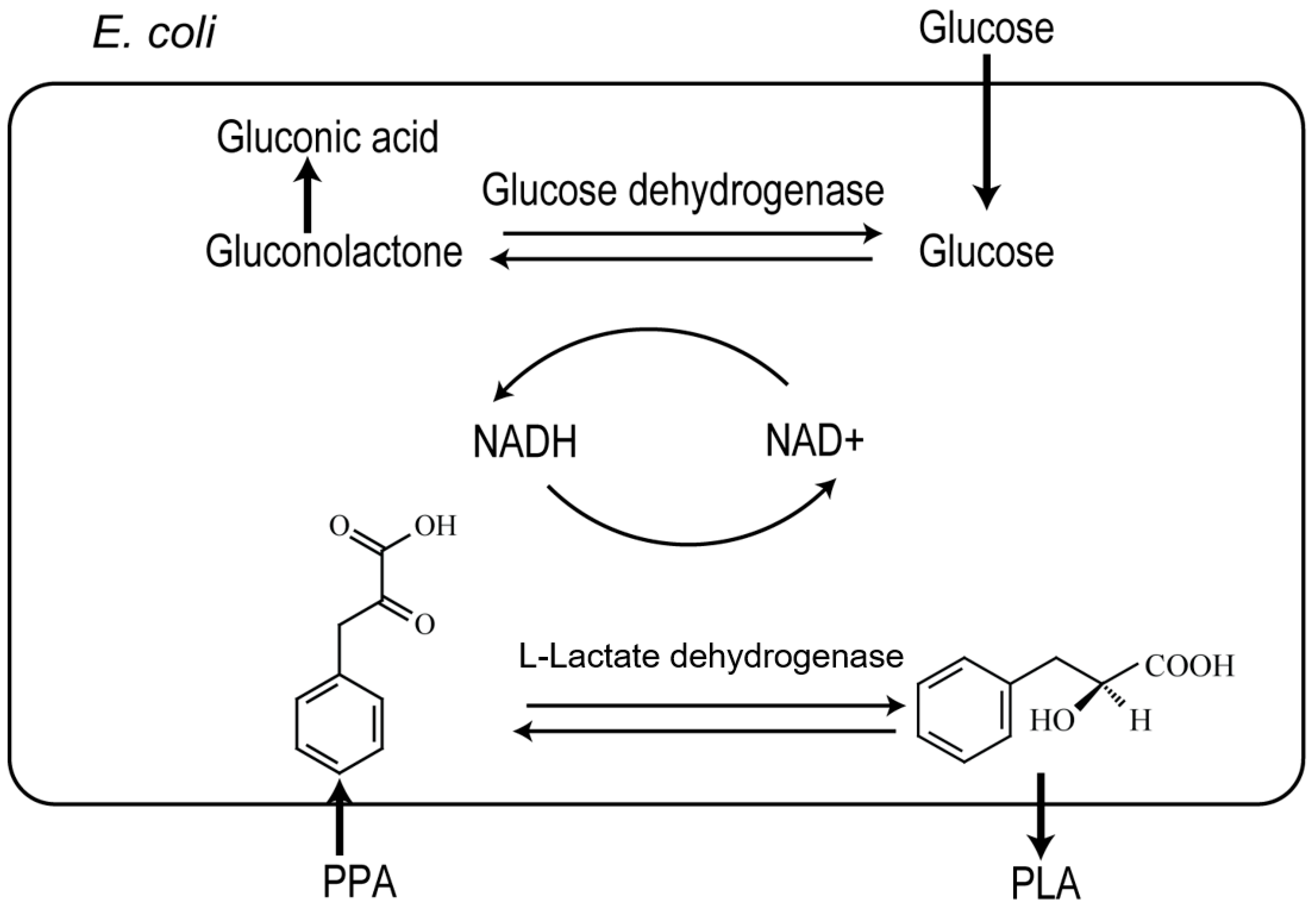 Molecules 22 01966 g001