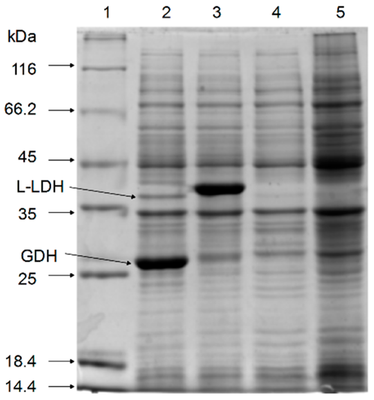 Molecules 22 01966 g002
