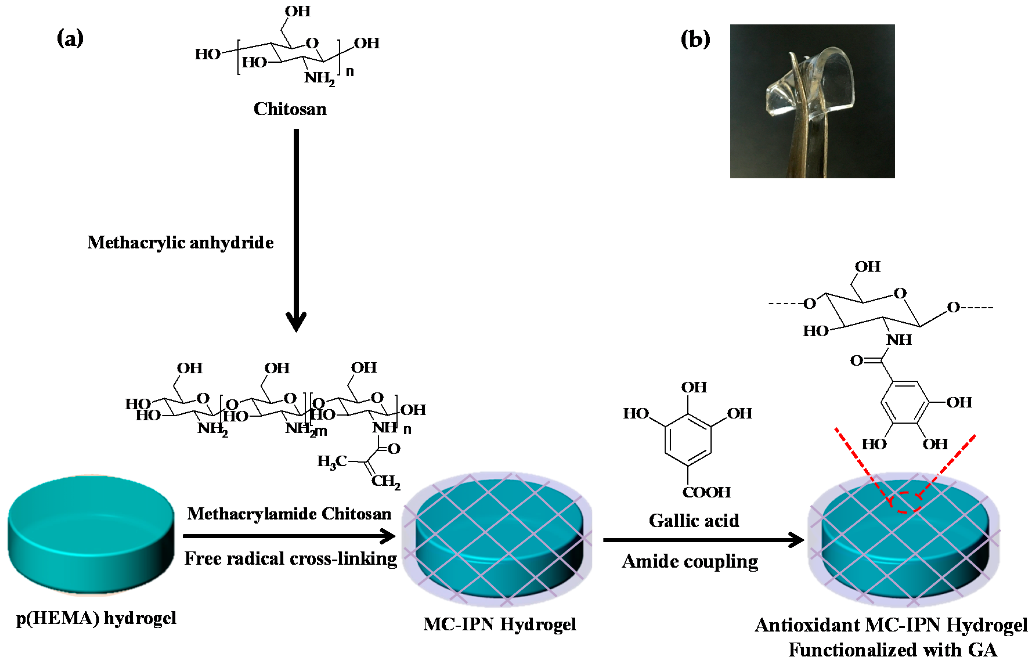 Molecules 22 01976 g001