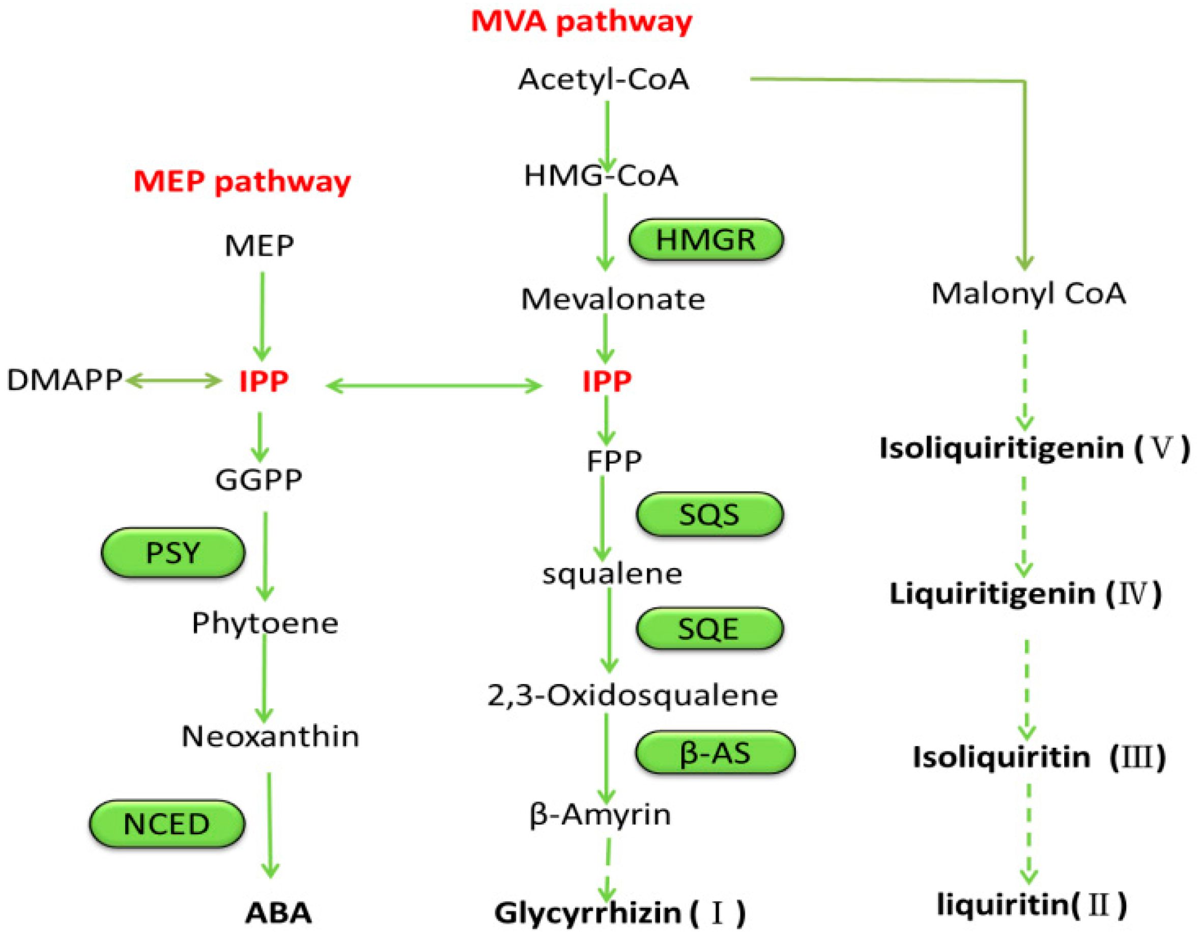 Molecules 22 01982 g004