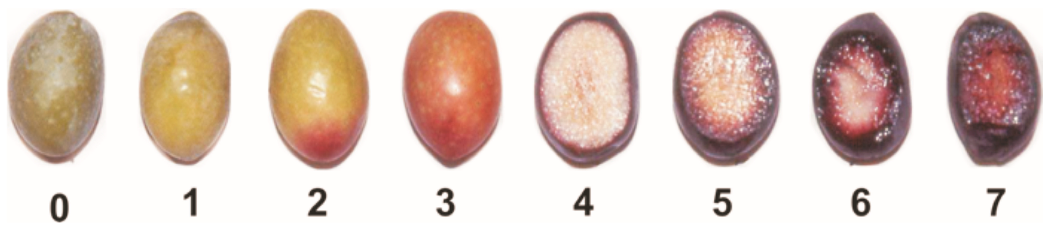 Molecules 22 01986 g001