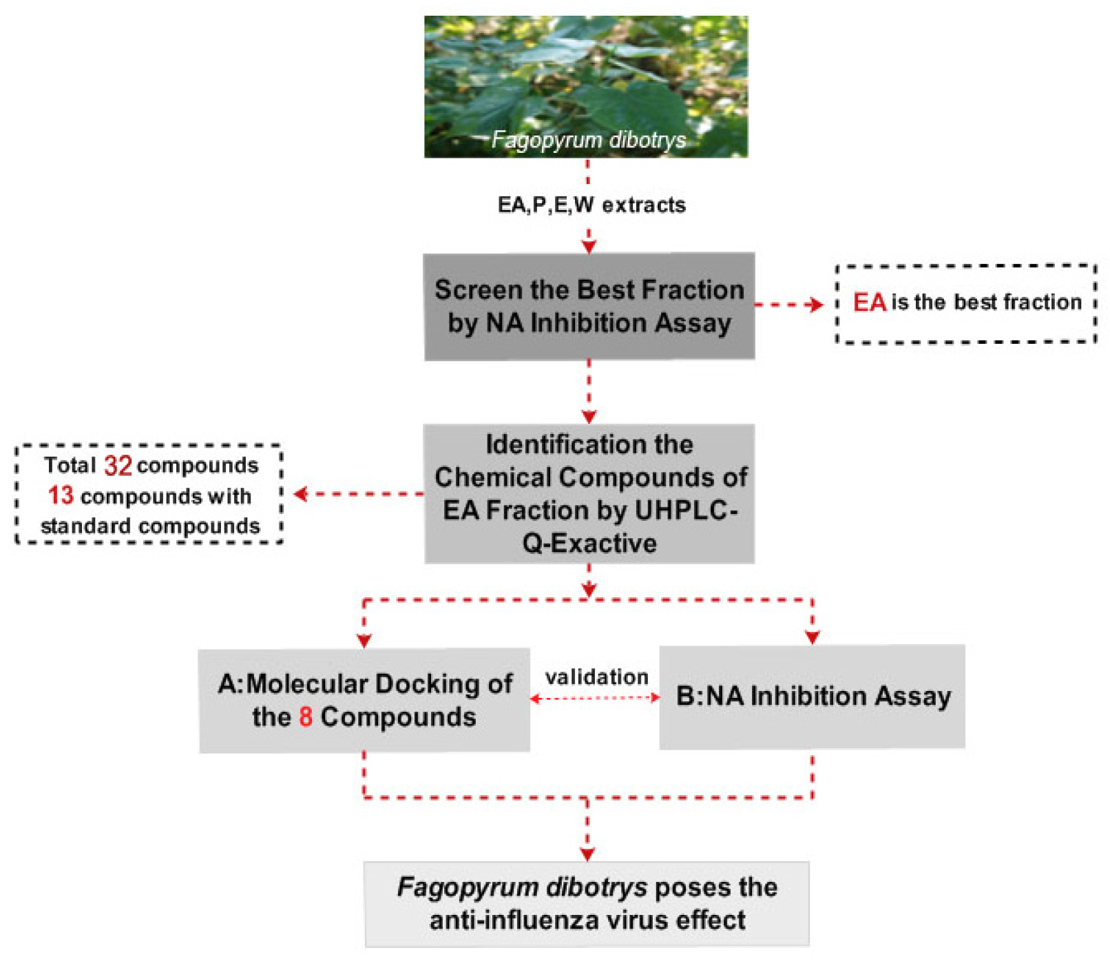 Molecules 22 01998 g001