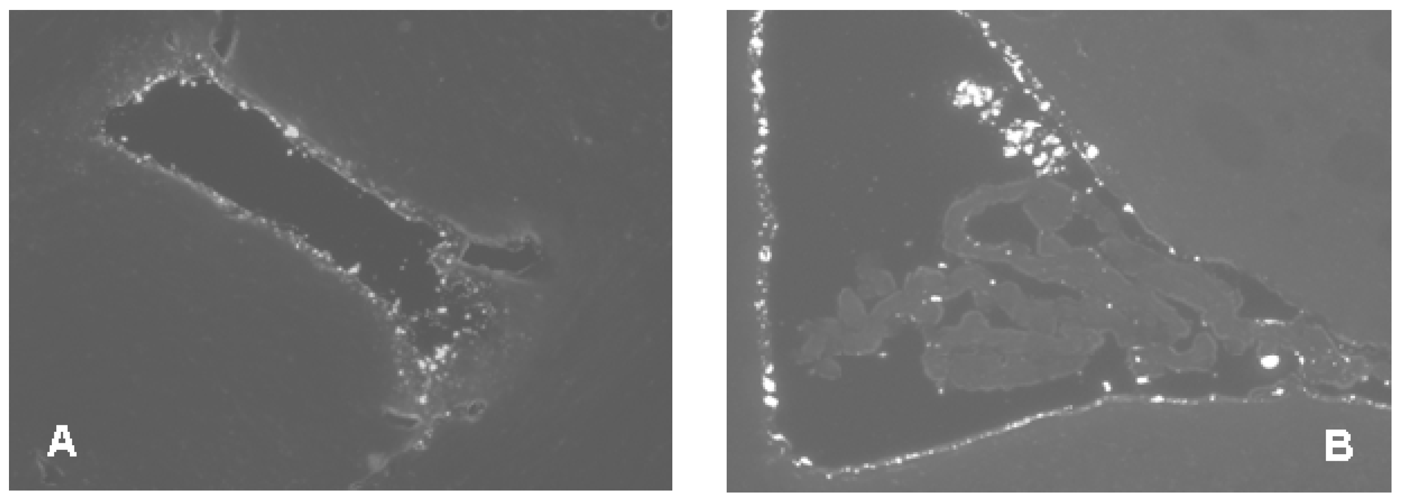Molecules 22 02007 g001