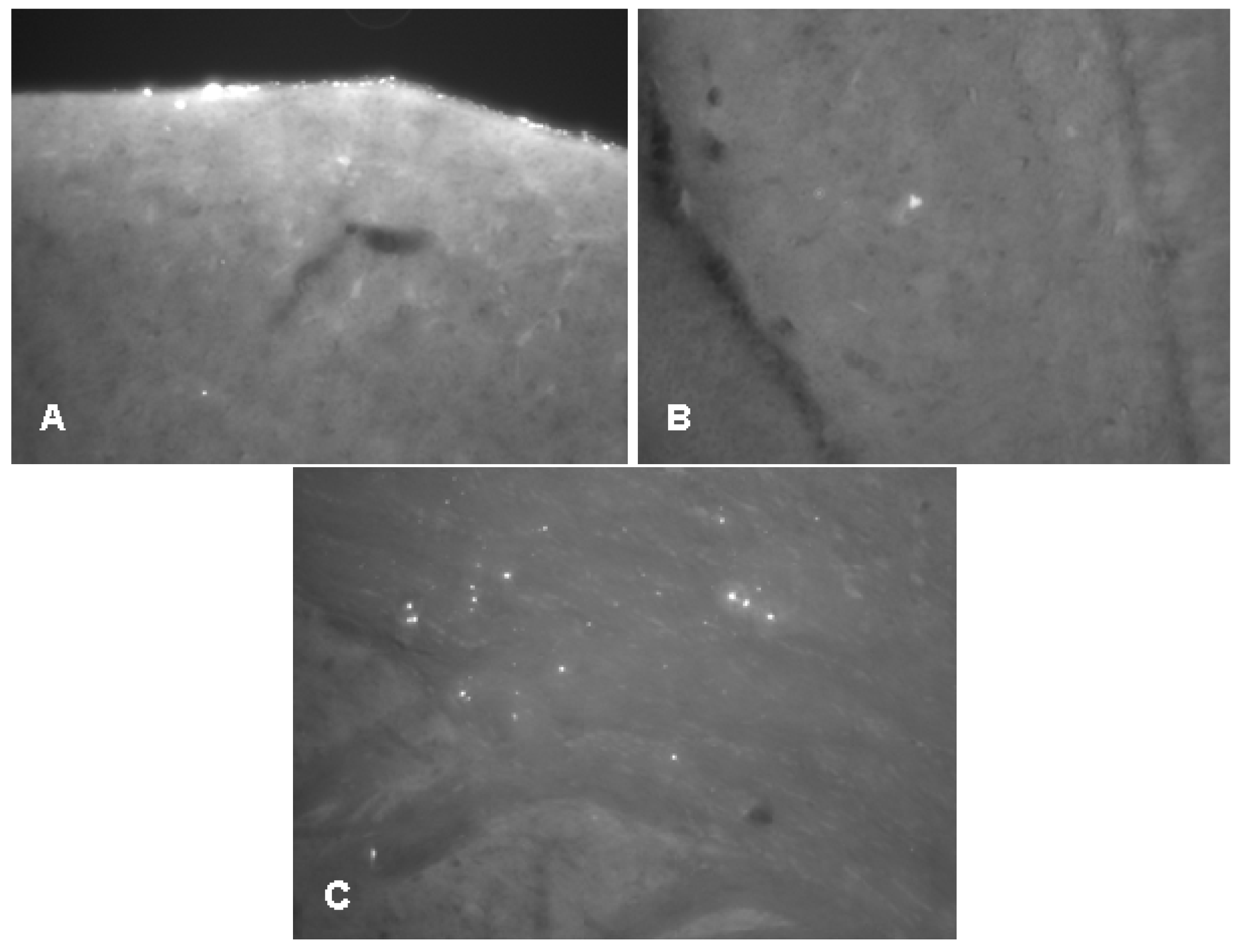 Molecules 22 02007 g002