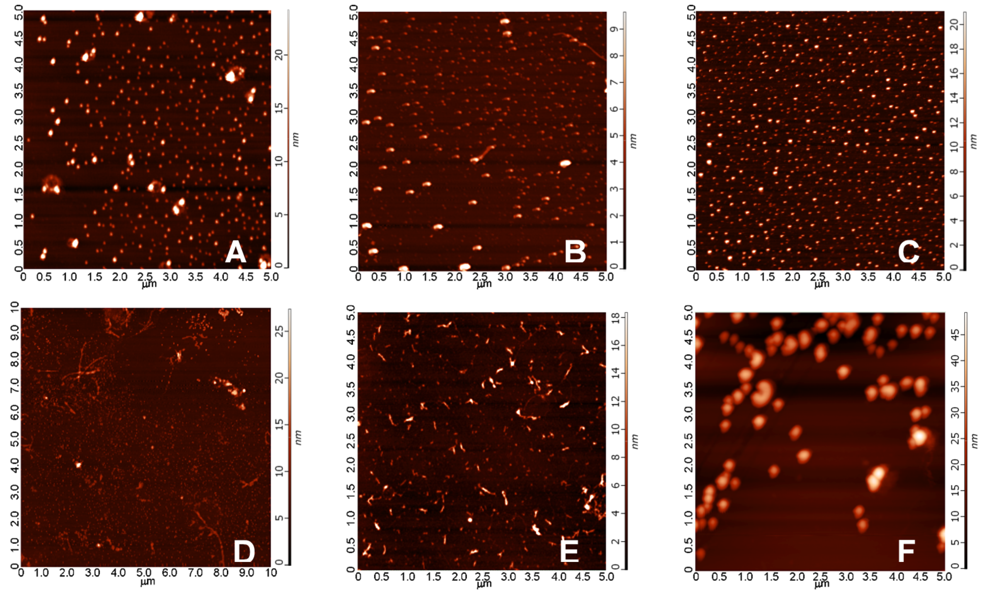 Molecules 22 02007 g008