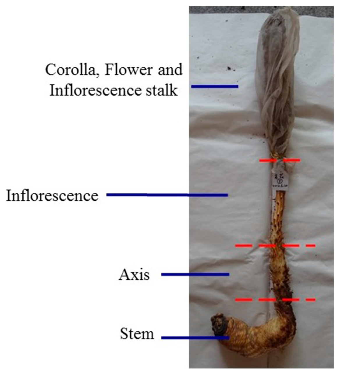 Molecules 22 02011 g011a