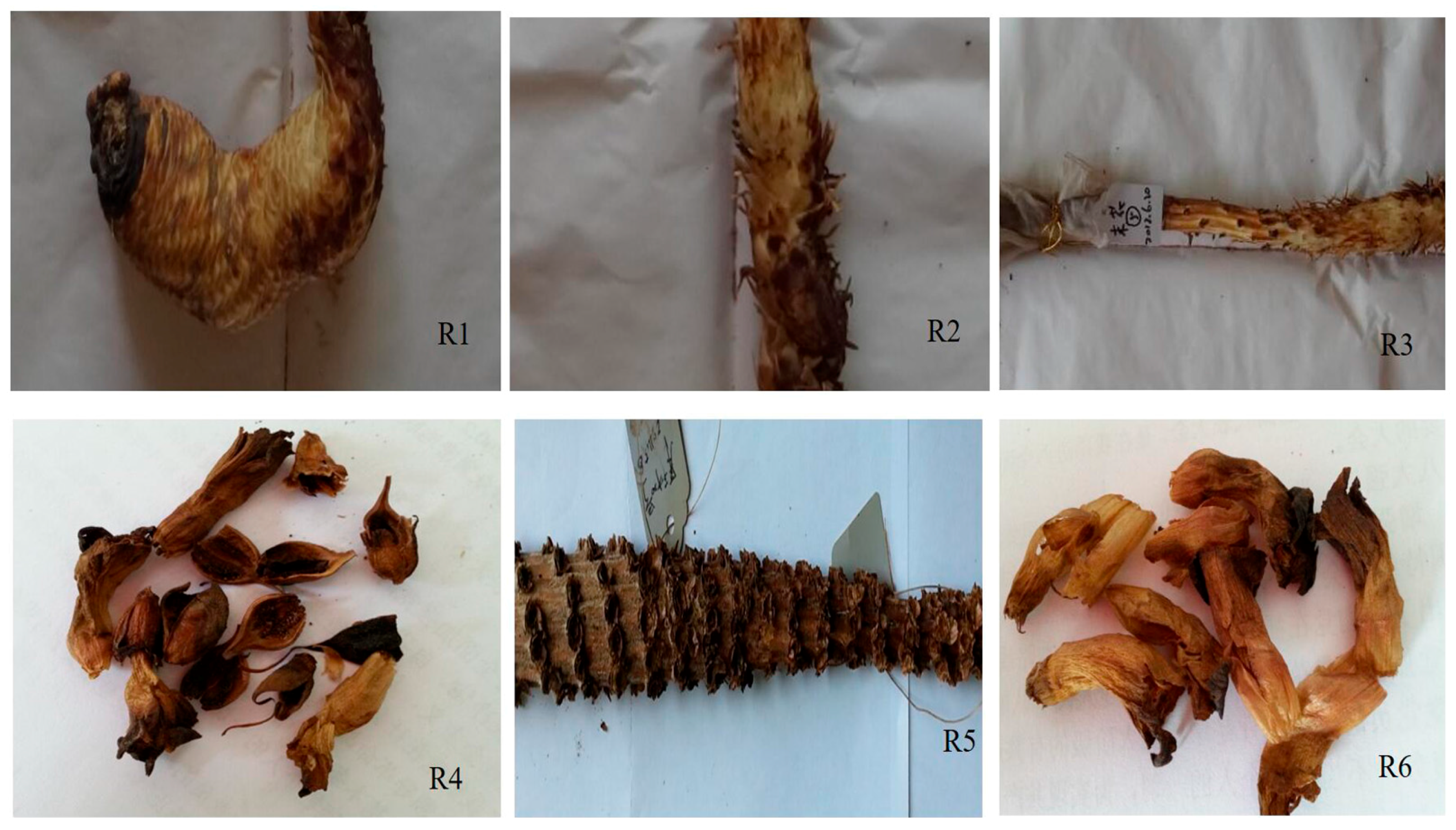 Molecules 22 02011 g011b