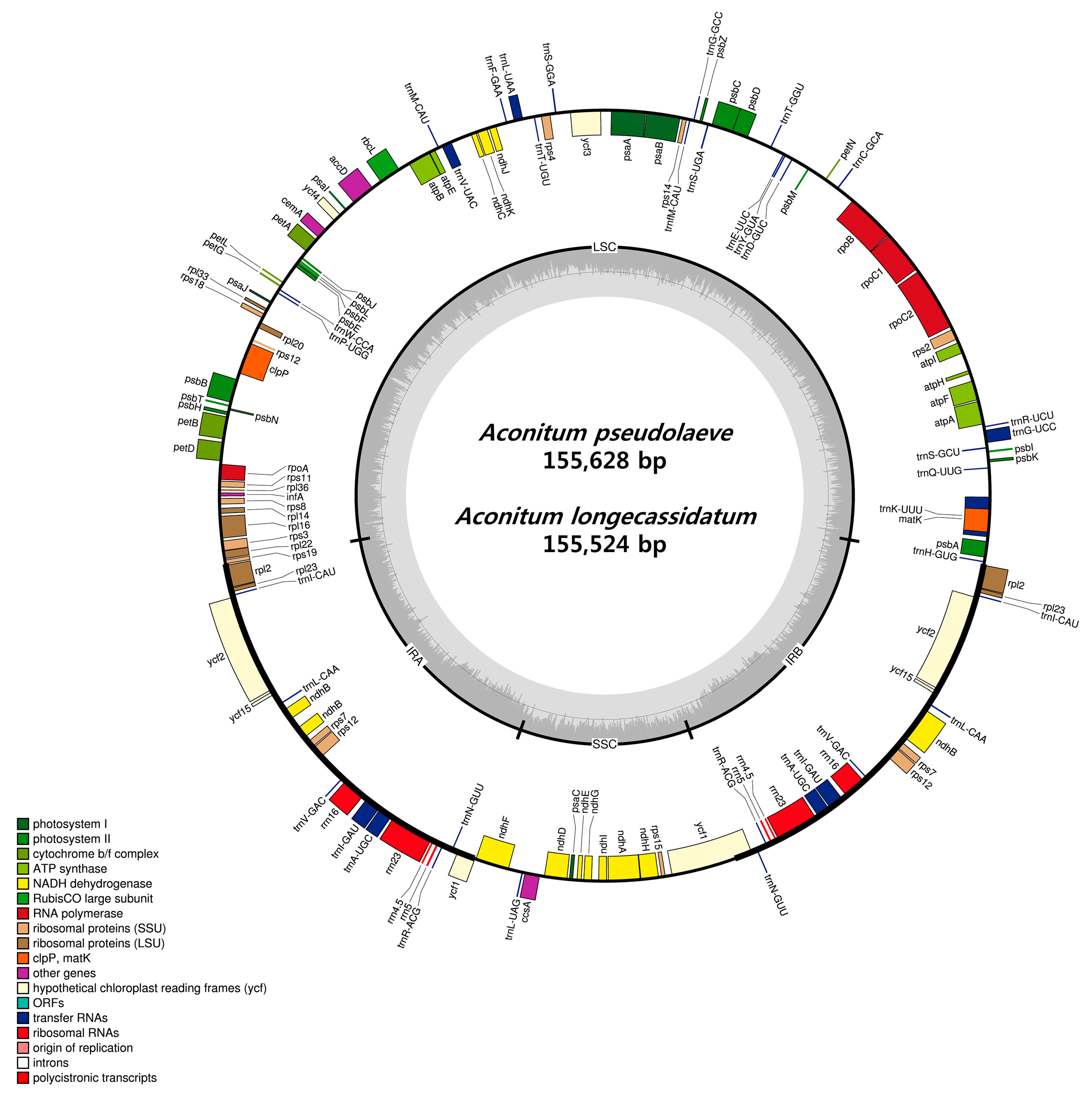Molecules 22 02012 g001