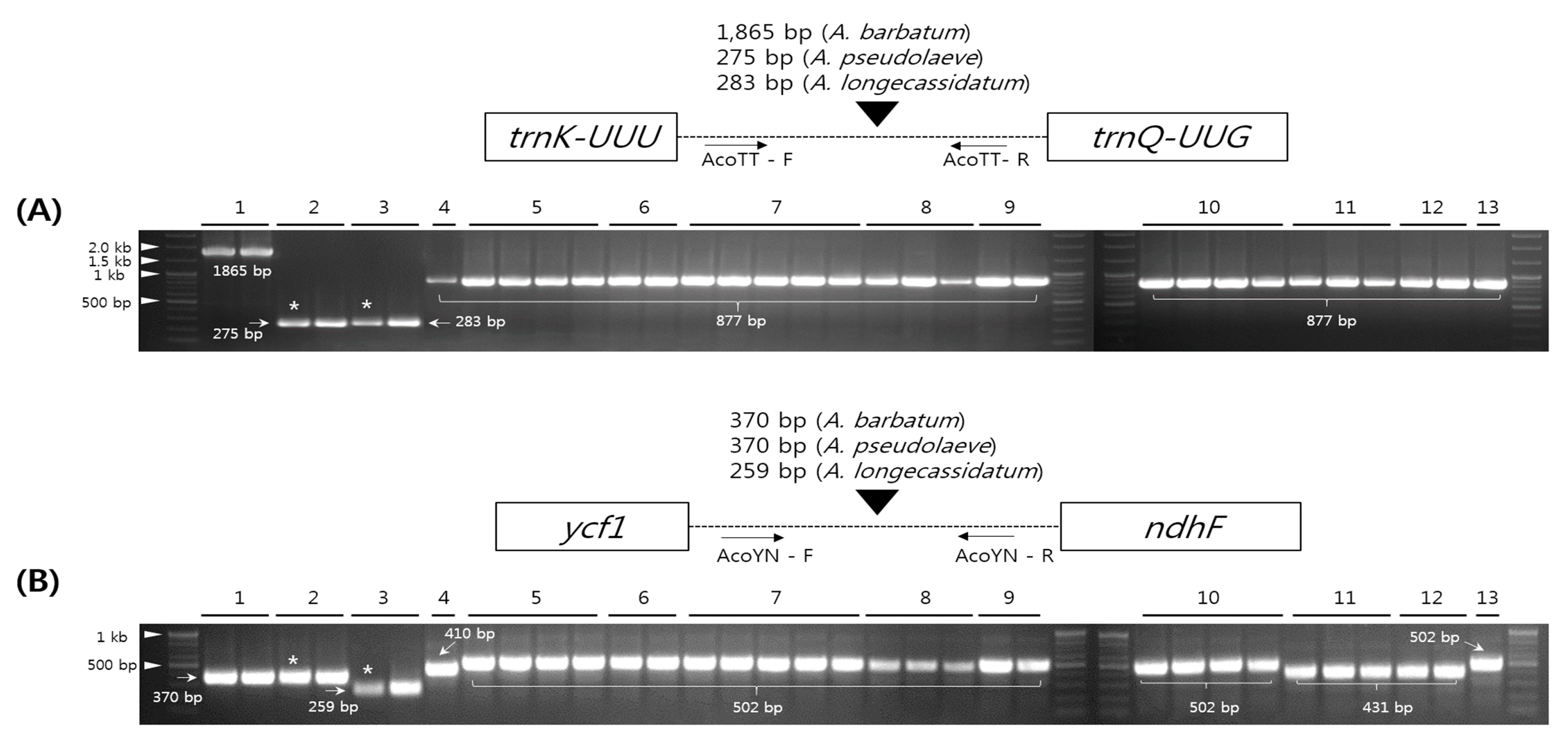 Molecules 22 02012 g007