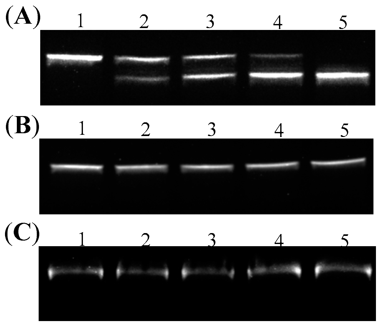 Molecules 22 02021 g004