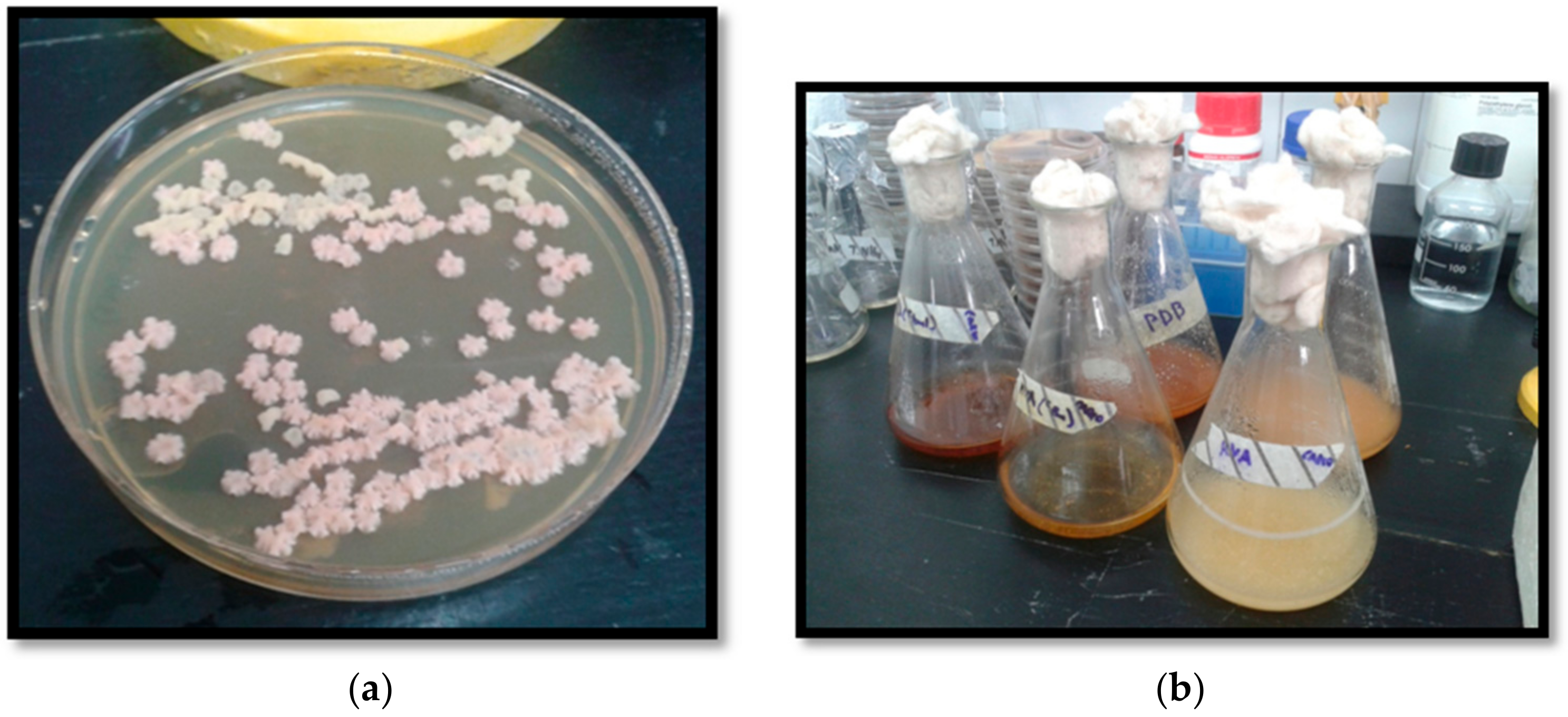 Molecules 22 02025 g004