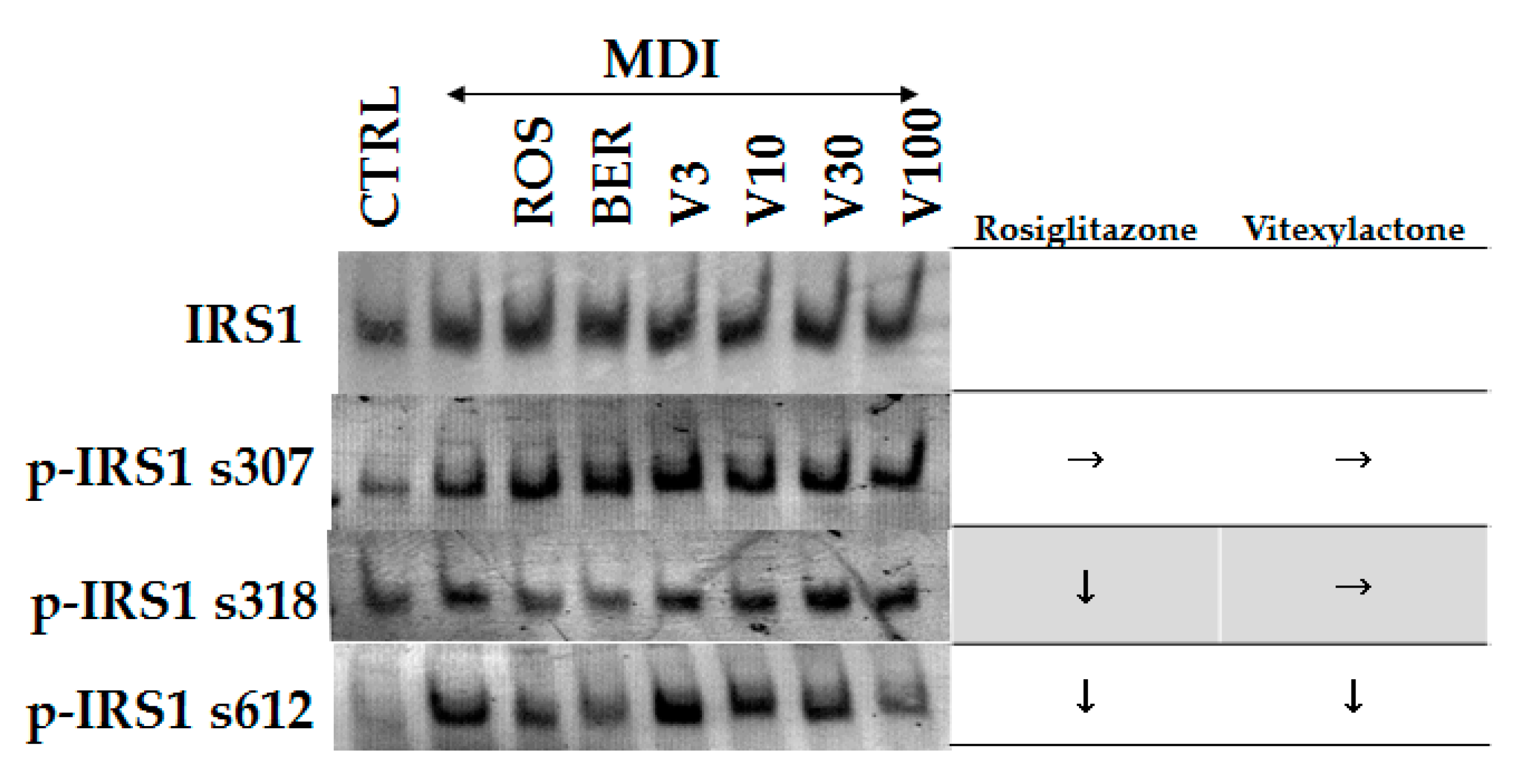 Molecules 22 02030 g005 Molecules 22 02030 g005