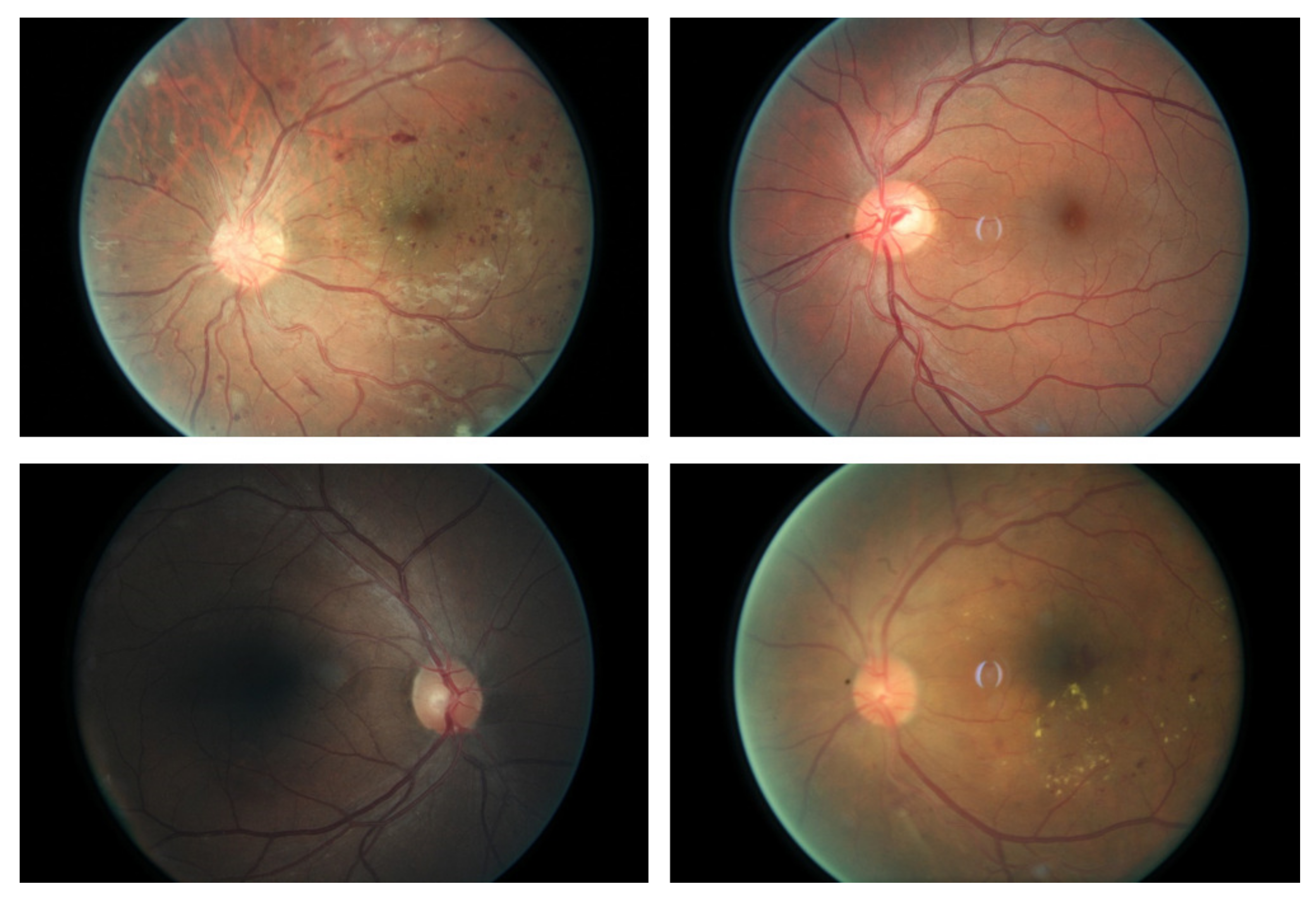 Molecules 22 02054 g001