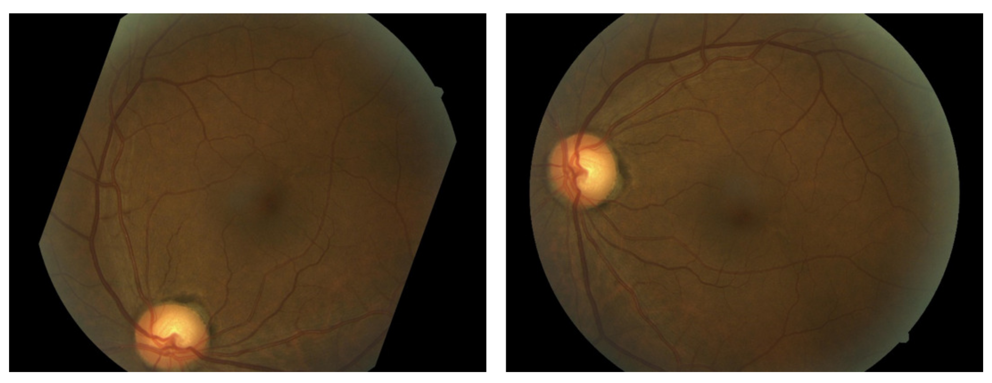 Molecules 22 02054 g002