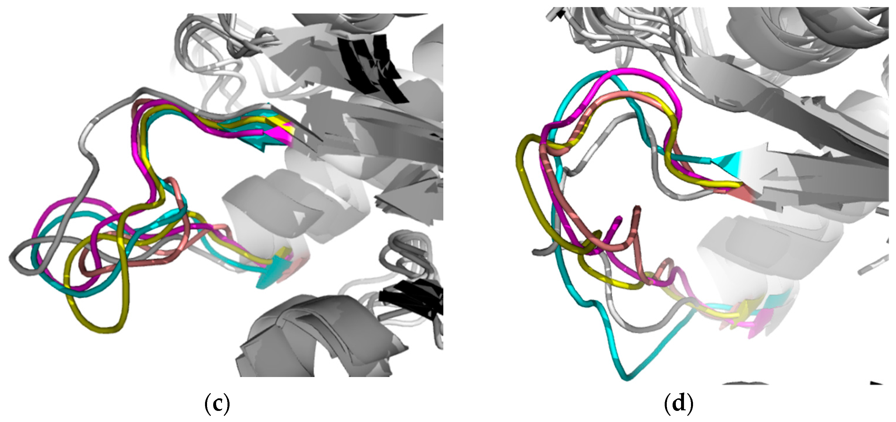 Molecules 22 02055 g007b