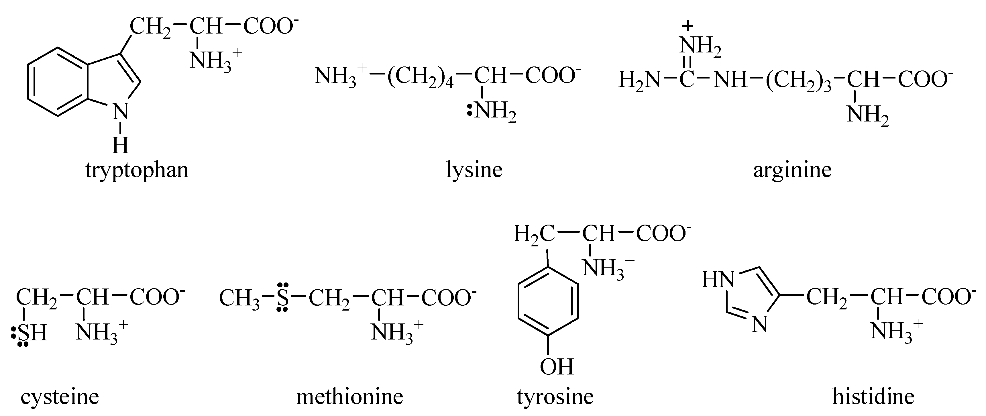 Molecules 22 02066 g003 Molecules 22 02066 g003