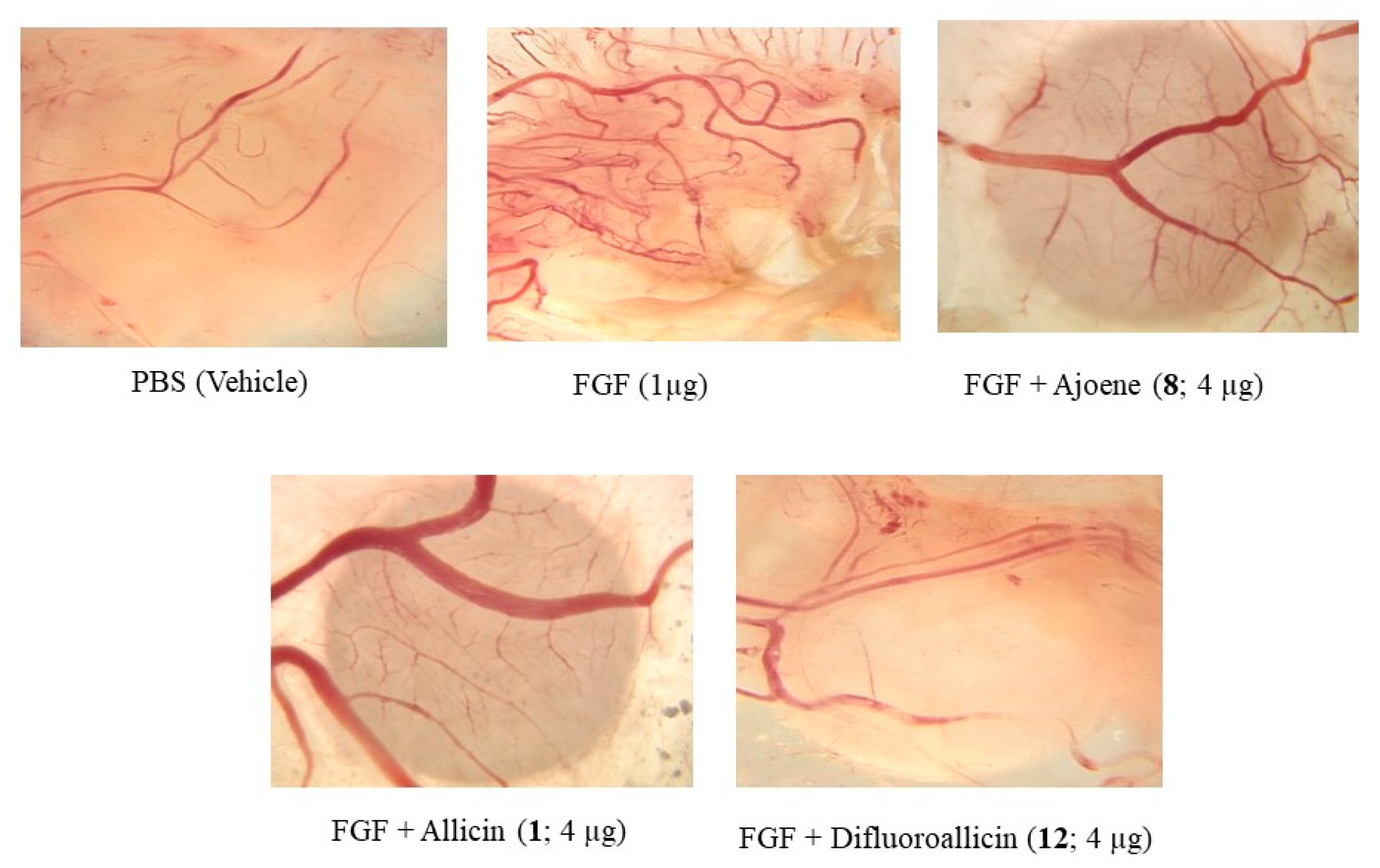 Molecules 22 02081 g005