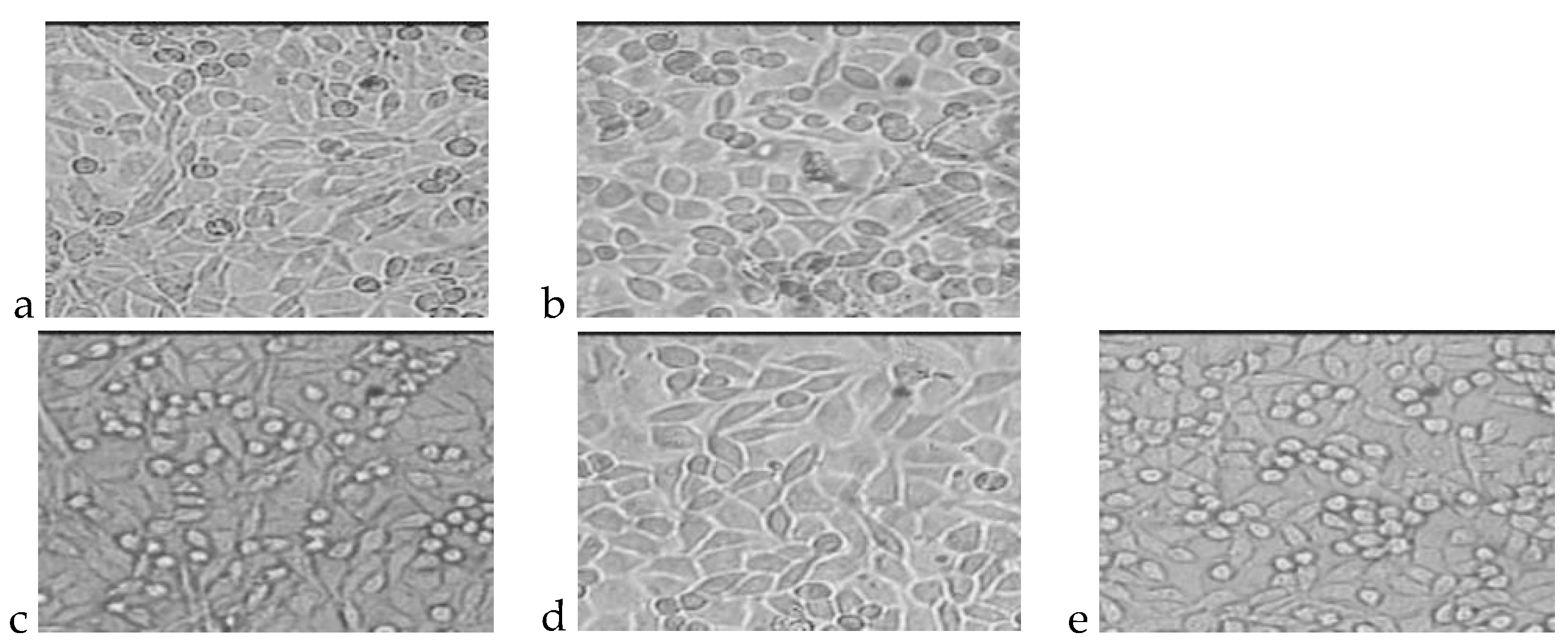 Molecules 22 02092 g003