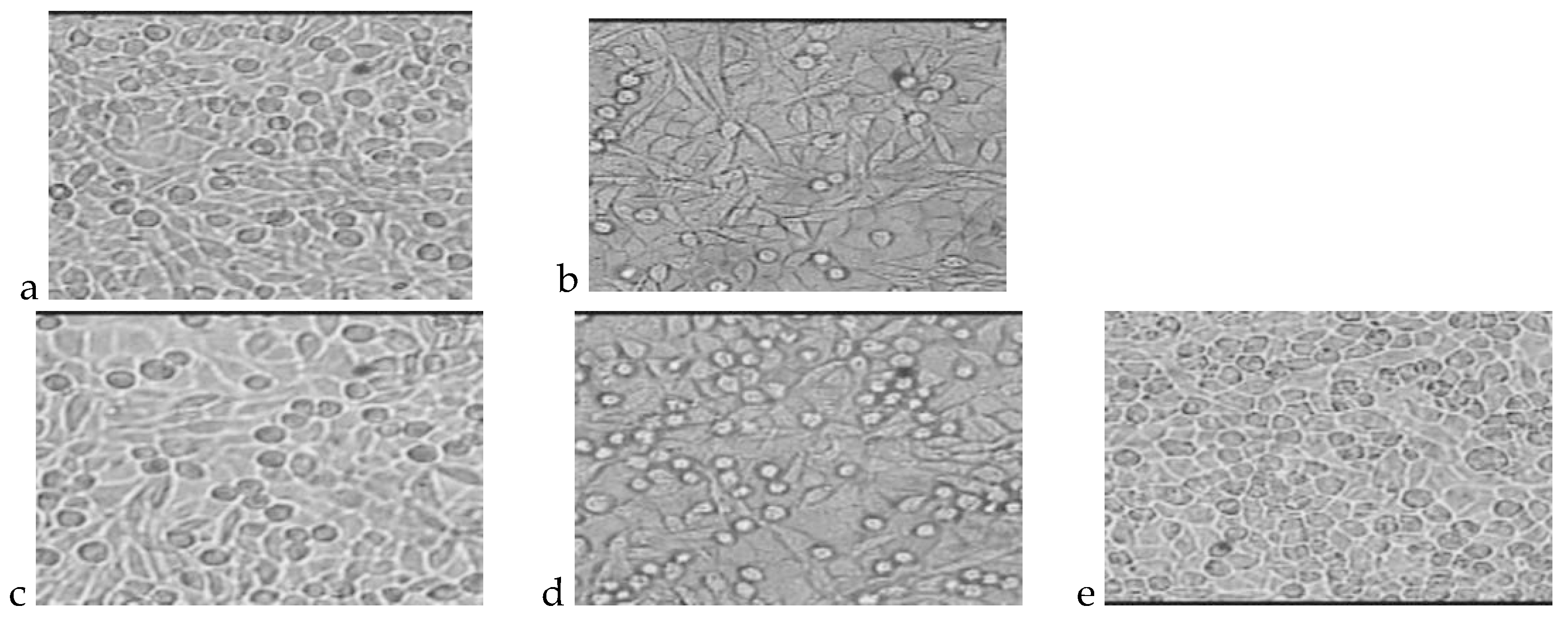 Molecules 22 02092 g004