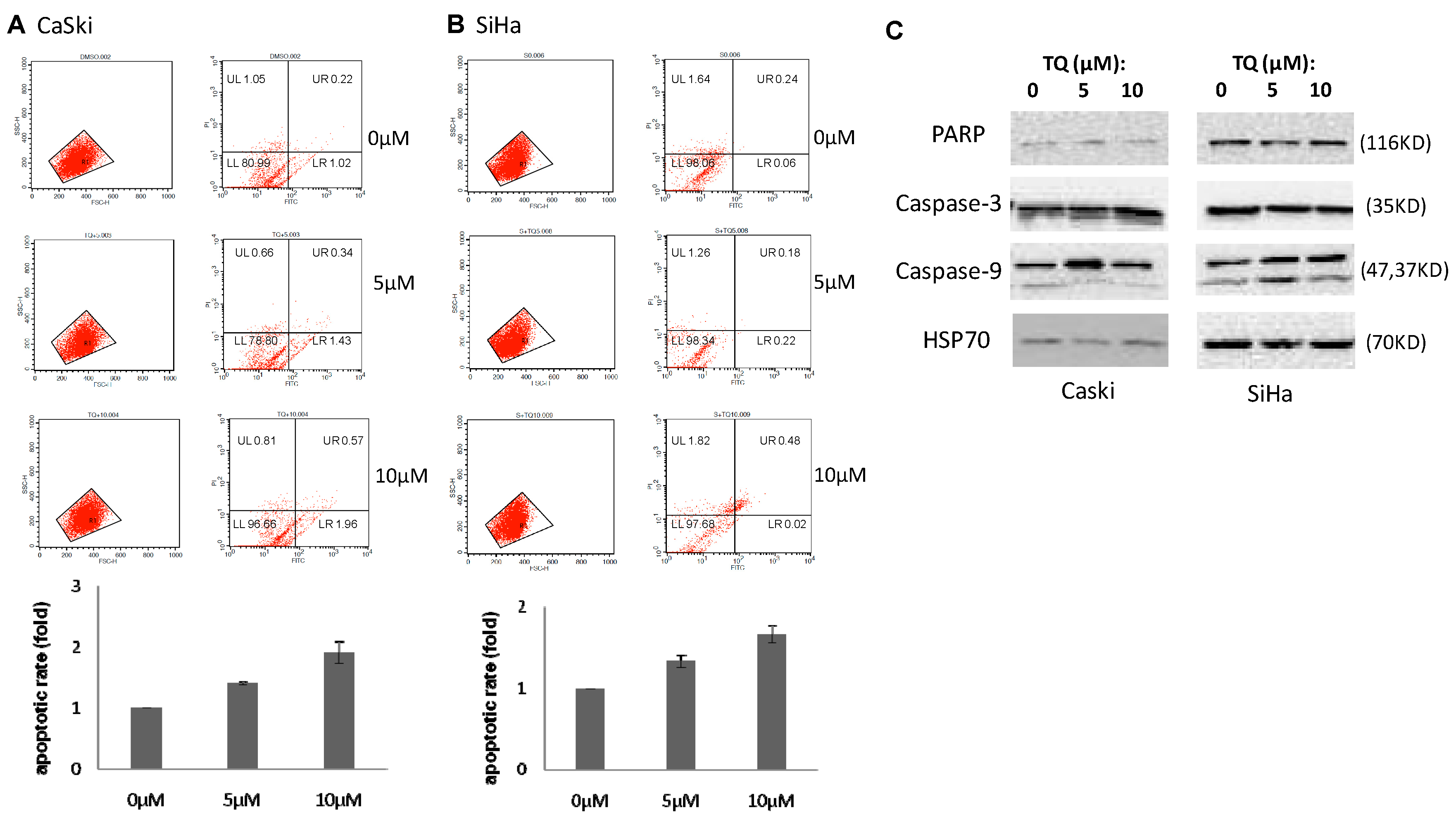 Molecules 22 02105 g002