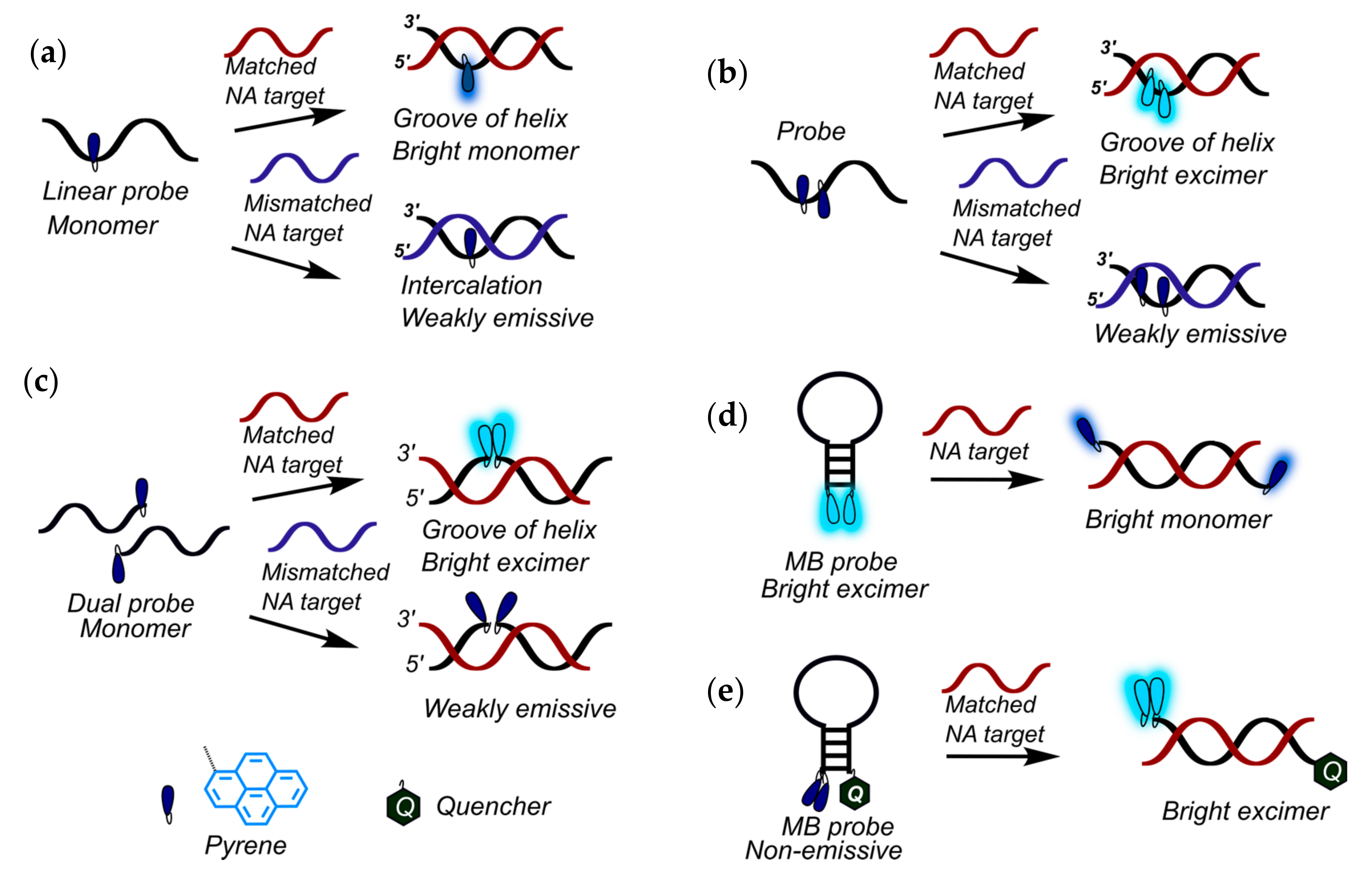 Molecules 22 02108 g001