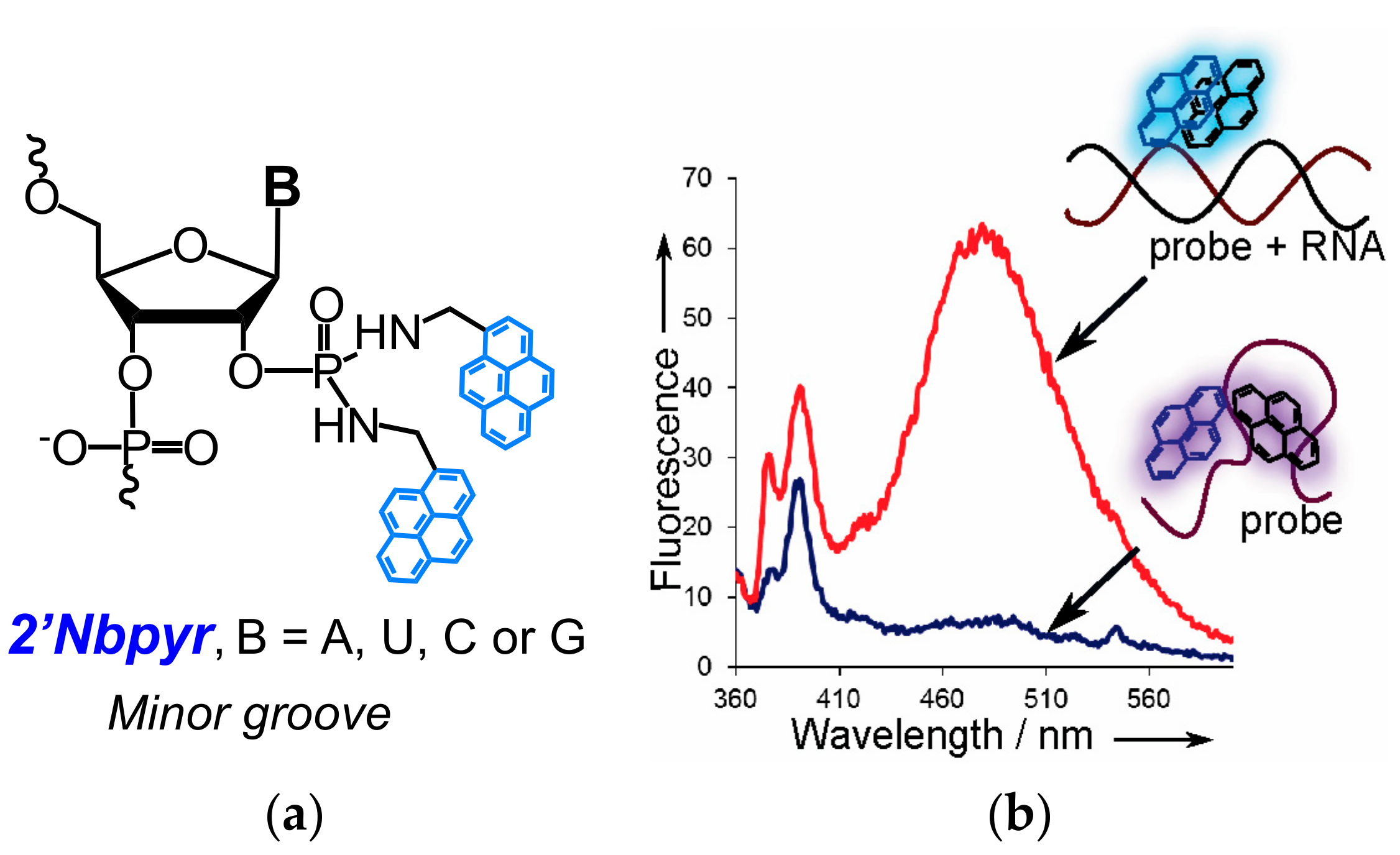 Molecules 22 02108 g006