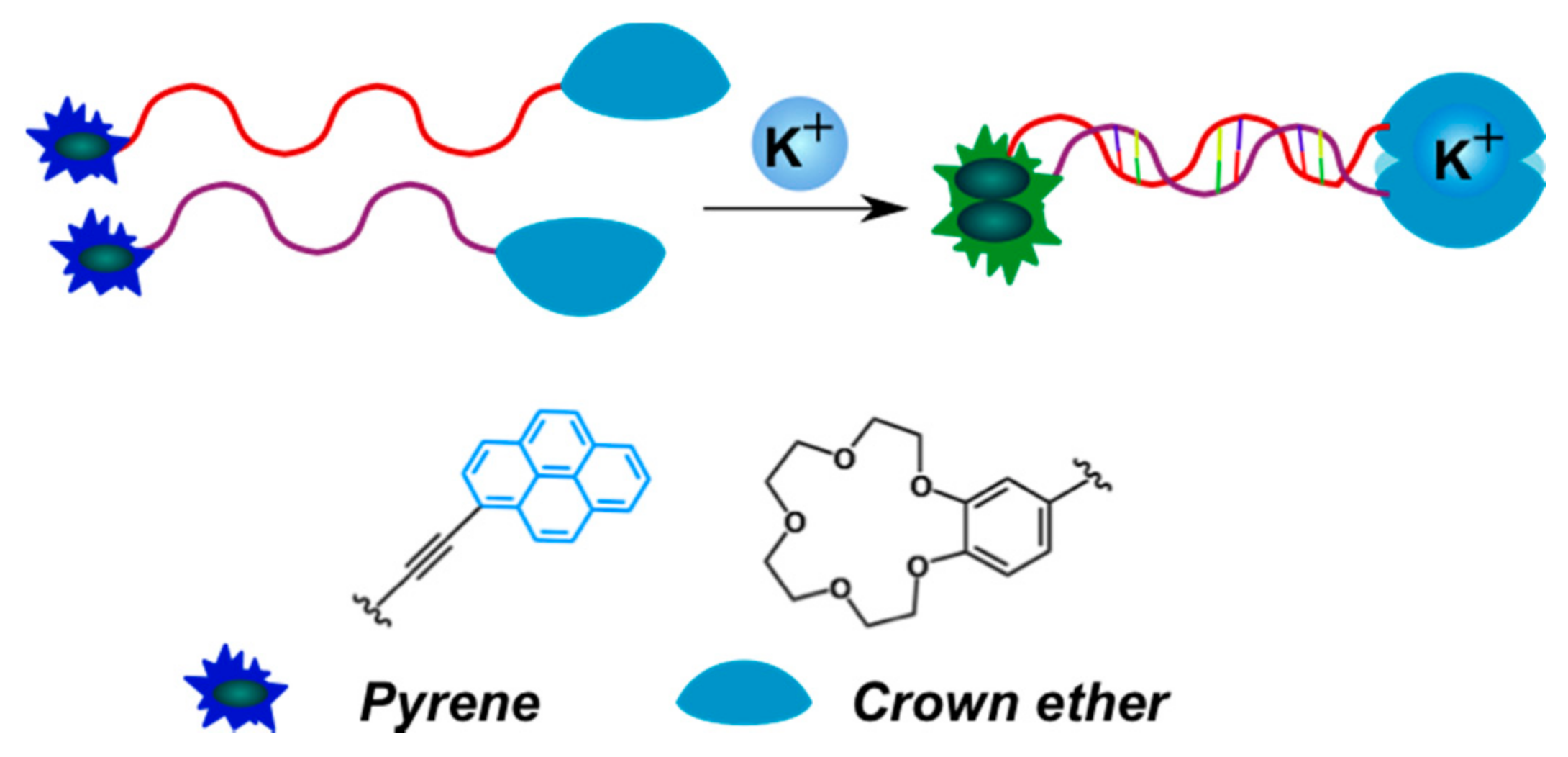 Molecules 22 02108 g023