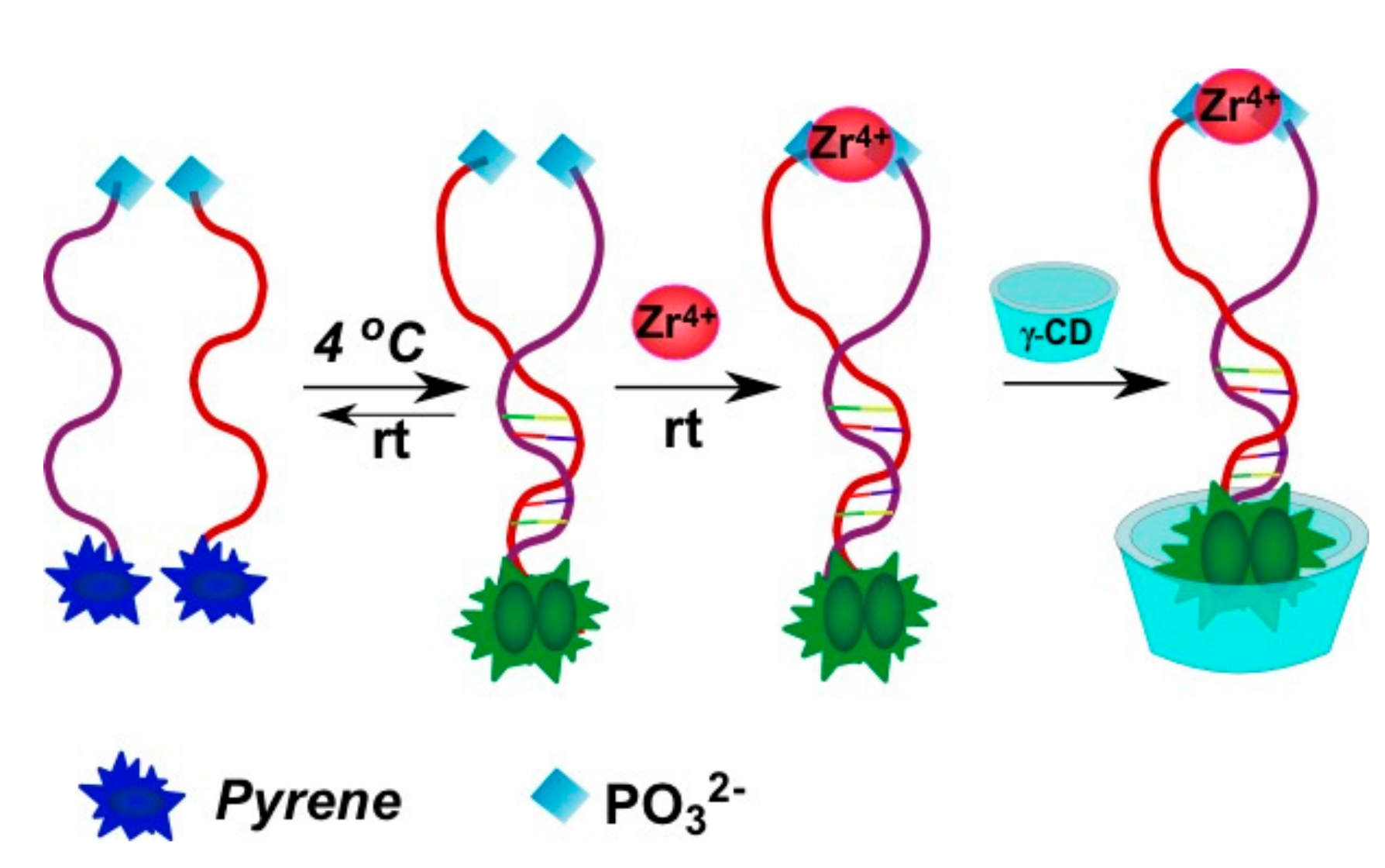 Molecules 22 02108 g026