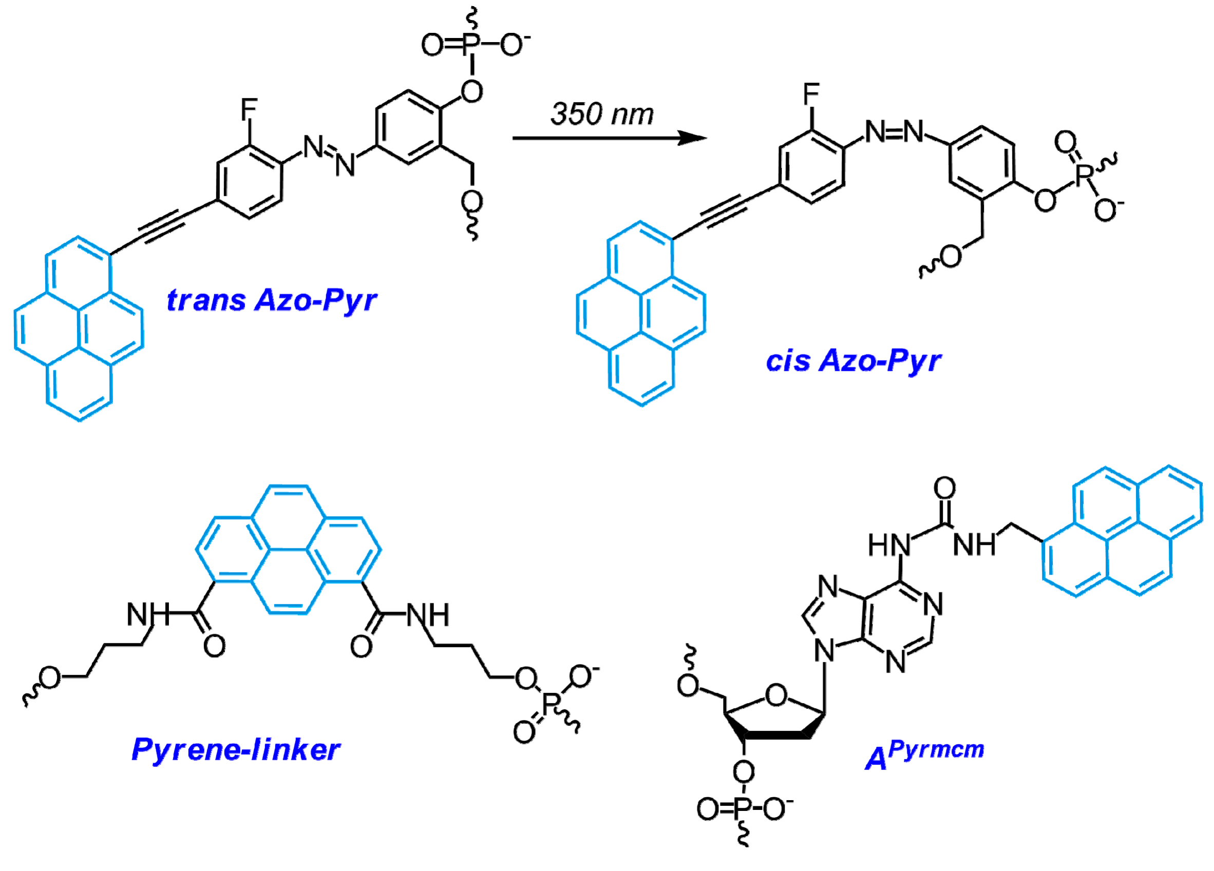 Molecules 22 02108 g031