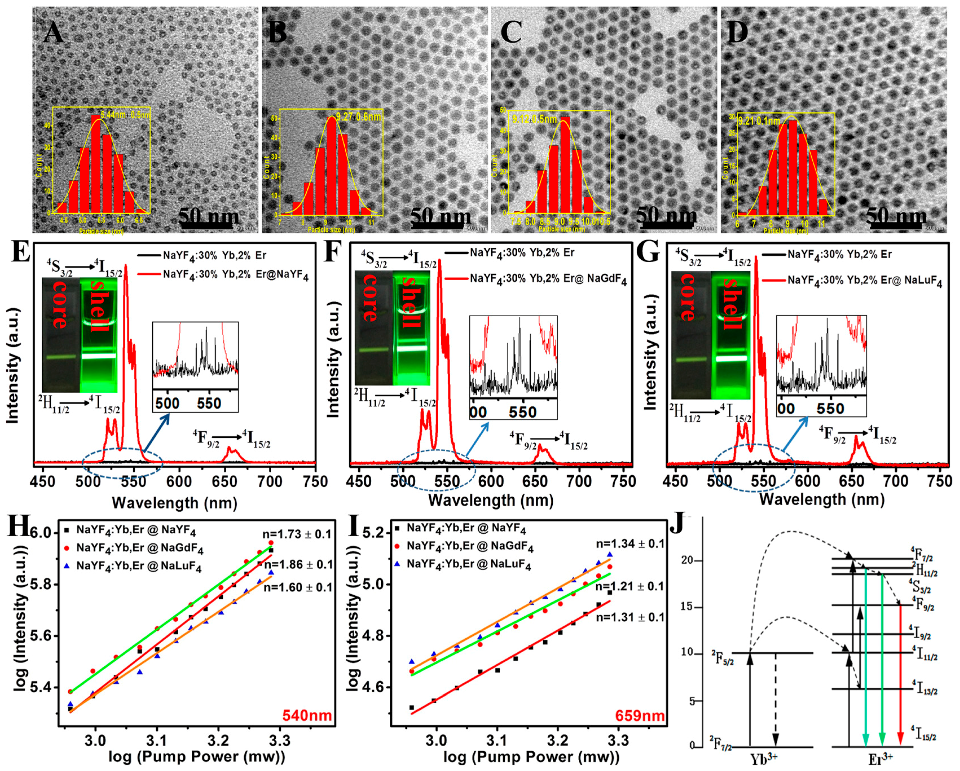 Molecules 22 02113 g004