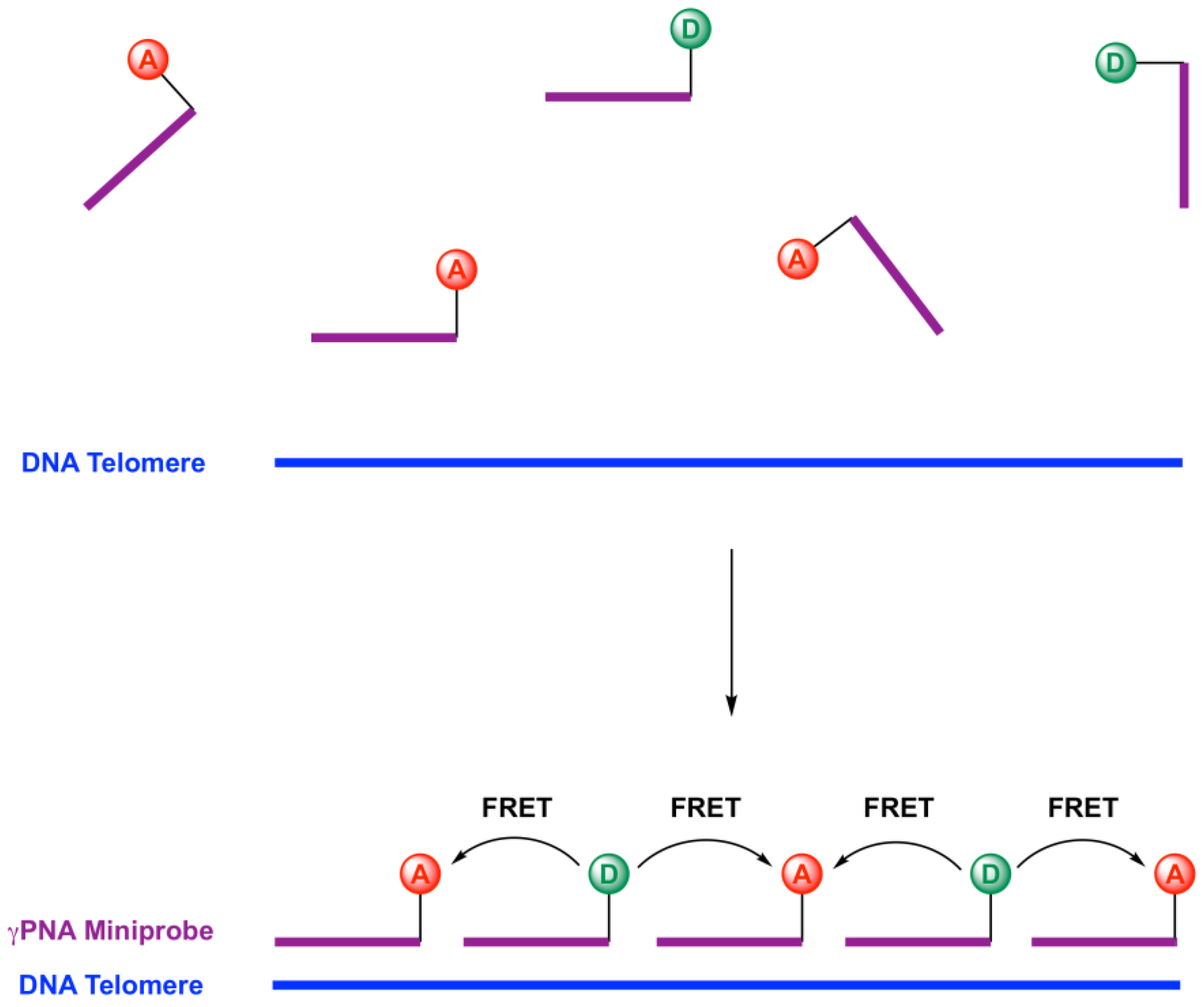 Molecules 22 02117 g001 Molecules 22 02117 g001