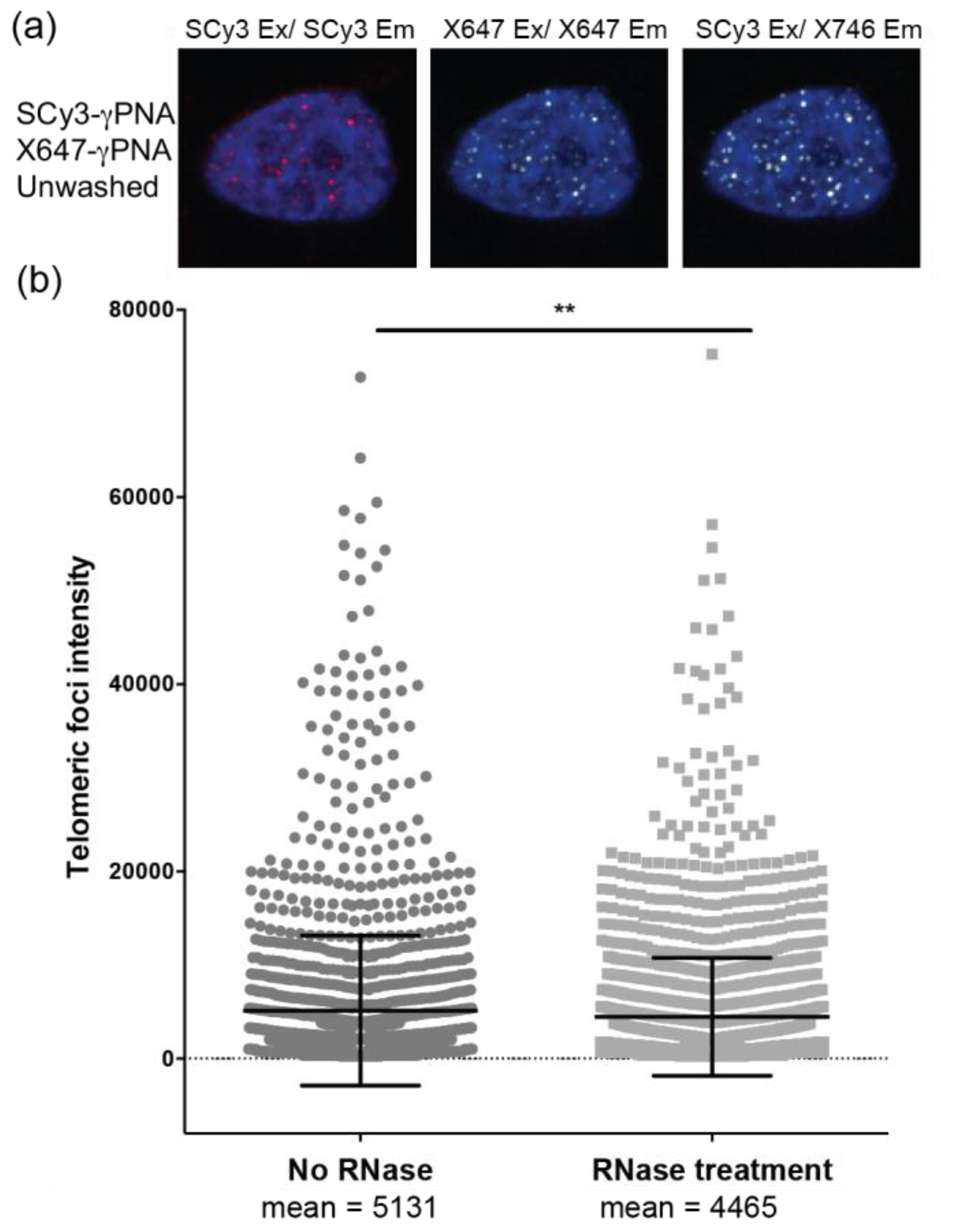Molecules 22 02117 g005 Molecules 22 02117 g005