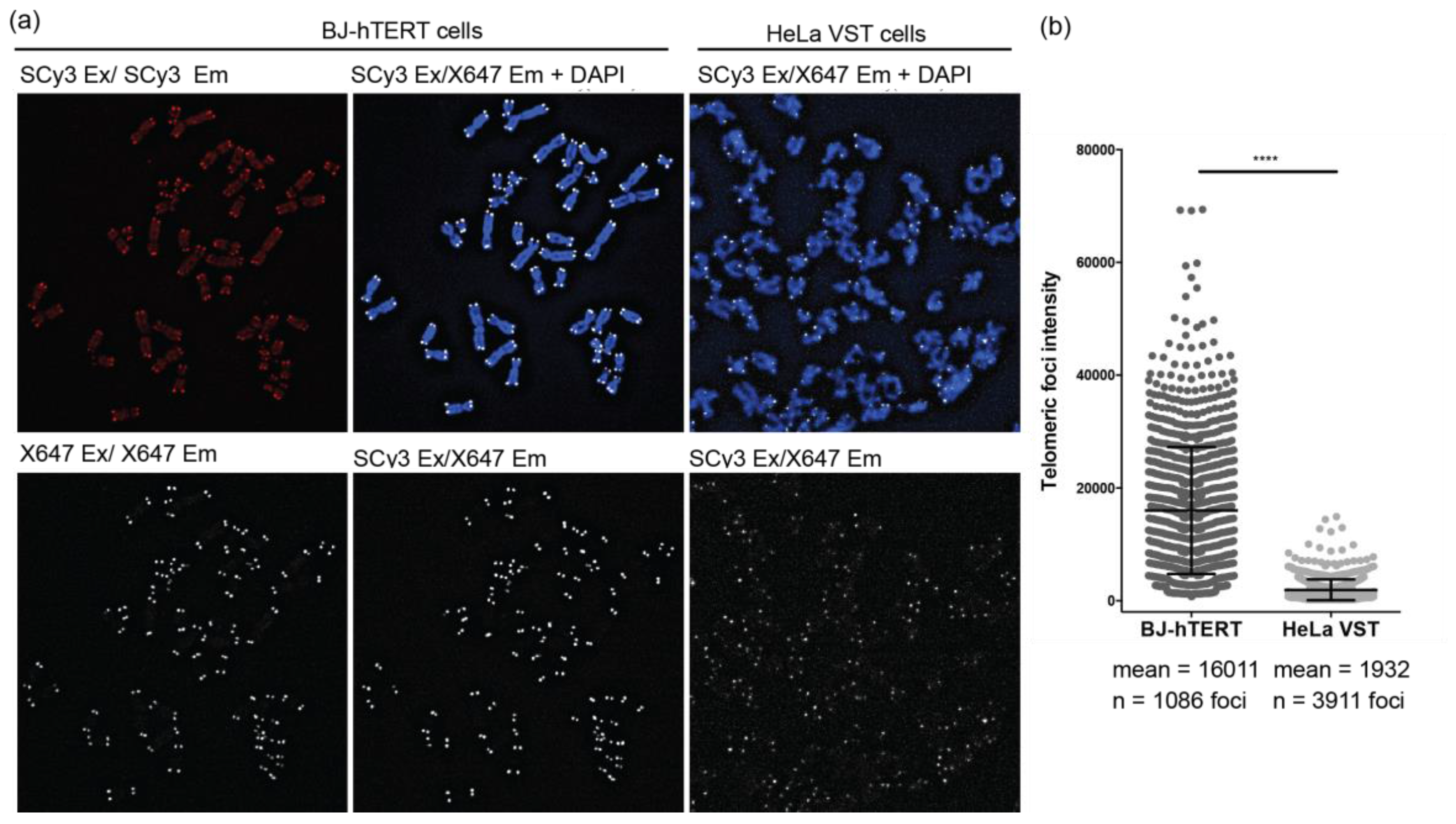 Molecules 22 02117 g006 Molecules 22 02117 g006