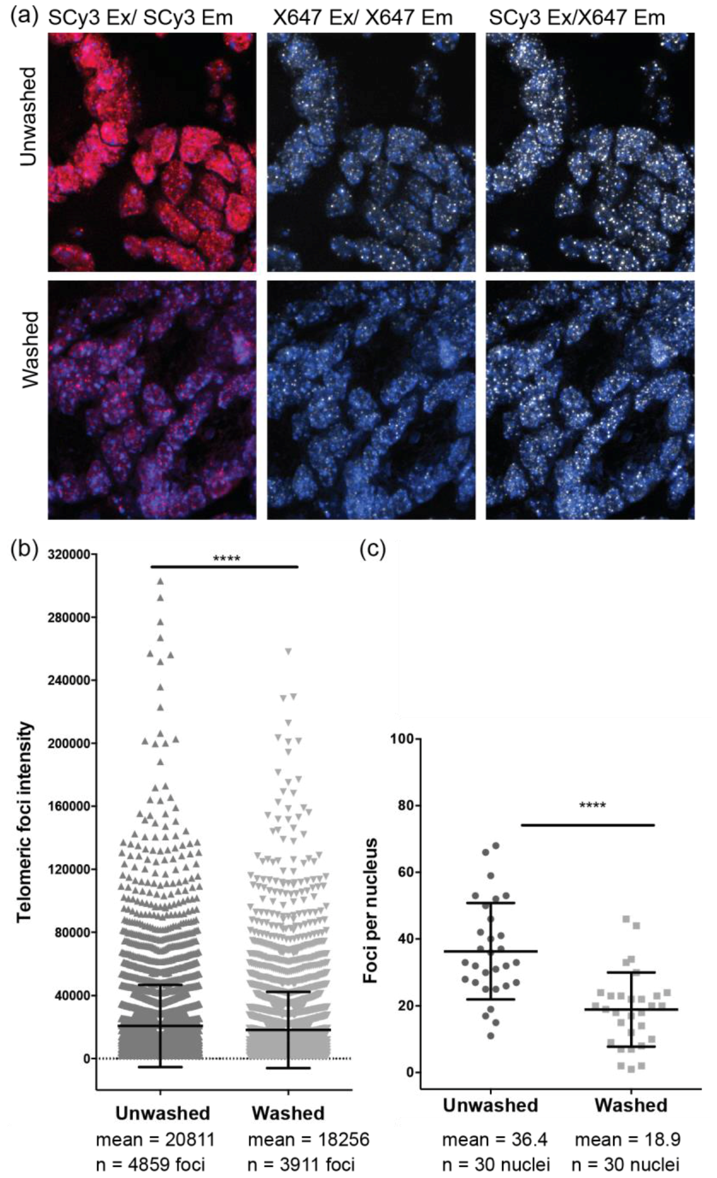 Molecules 22 02117 g007 Molecules 22 02117 g007