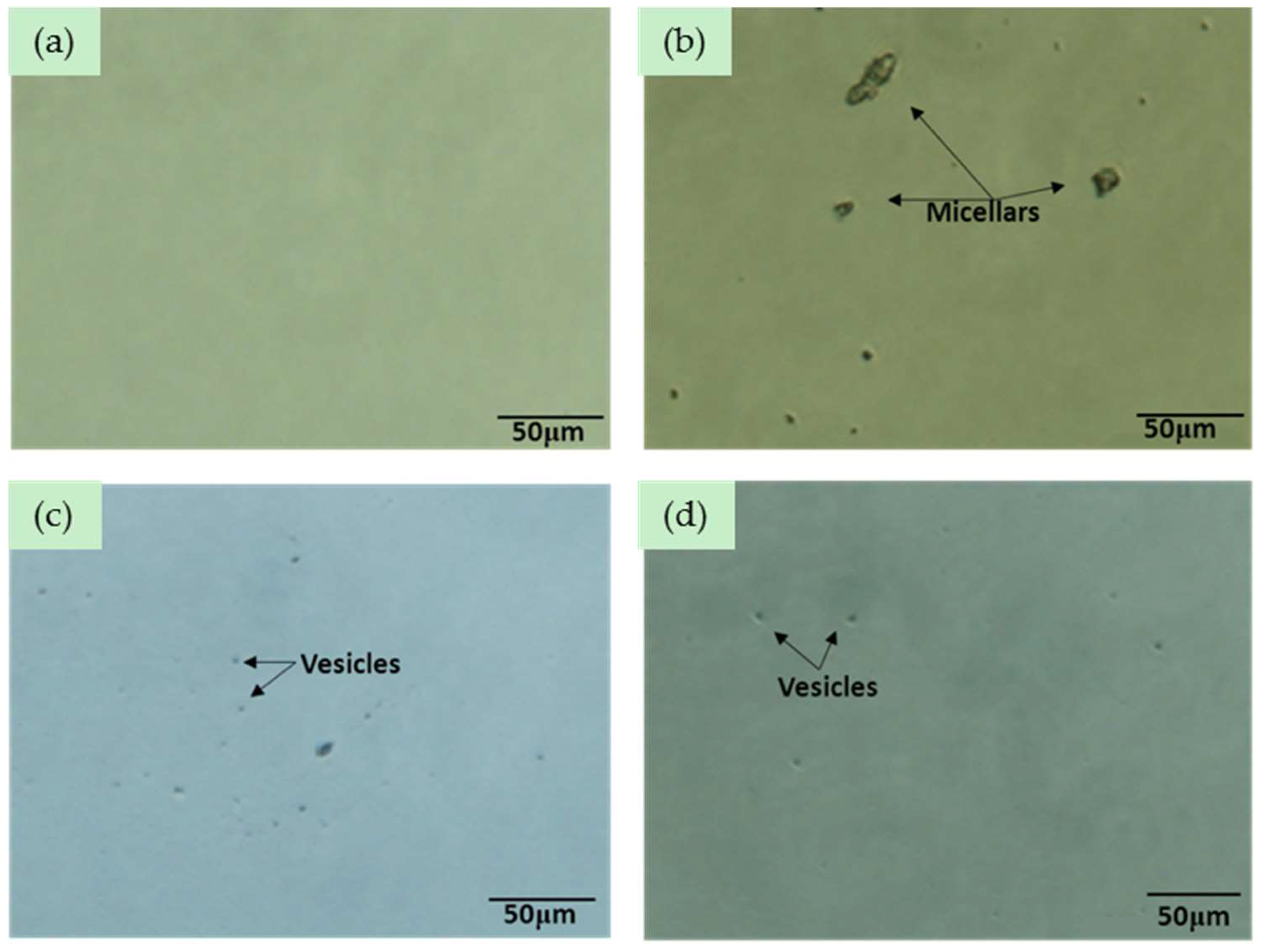 Molecules 22 02129 g008