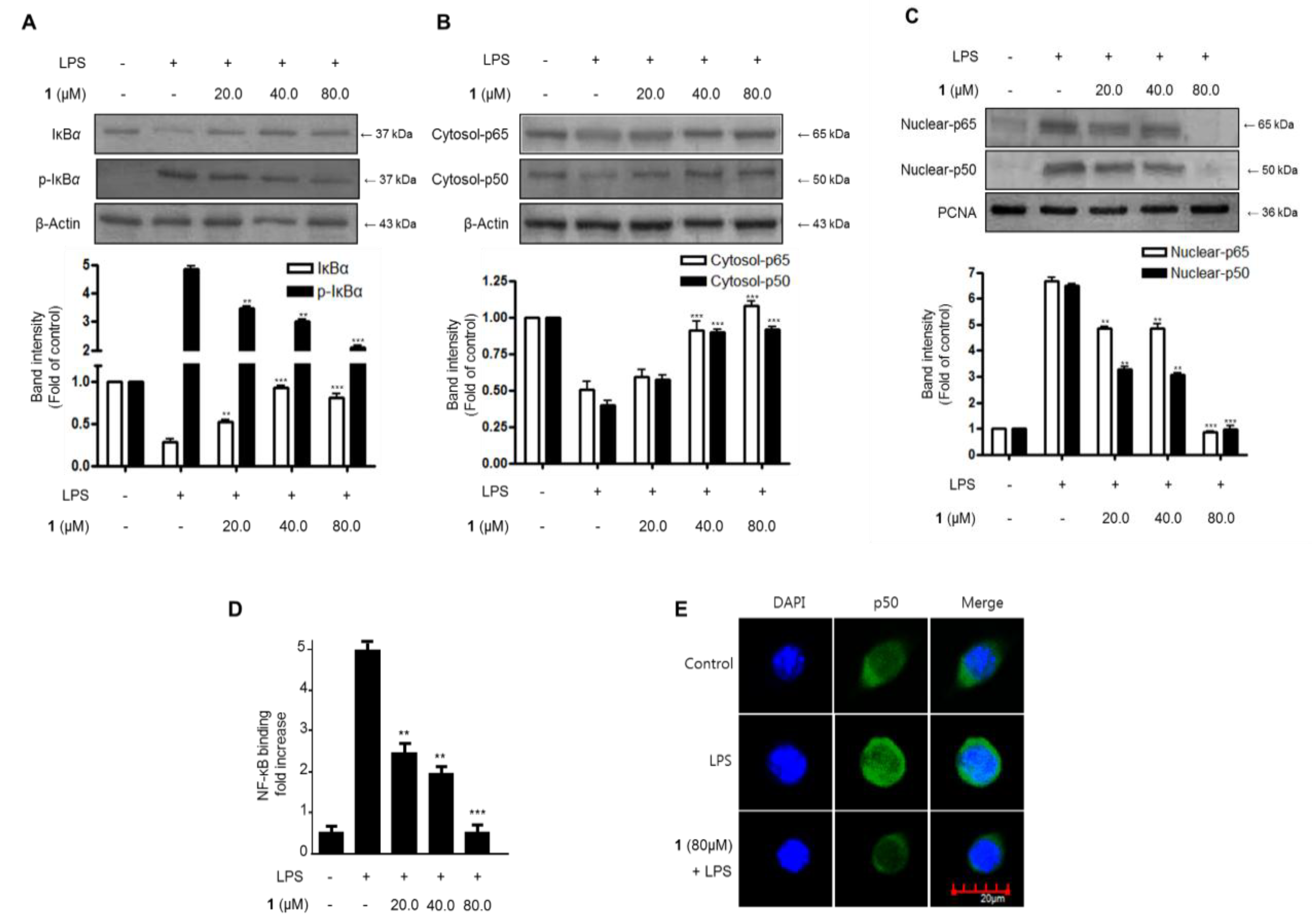 Molecules 22 02130 g005