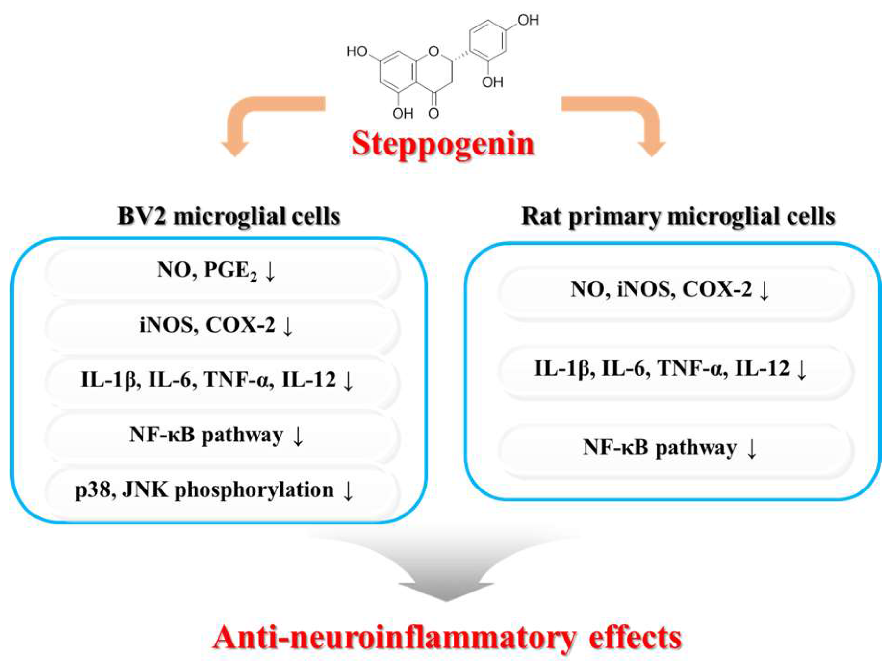Molecules 22 02130 g010
