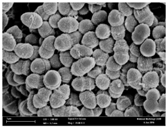 Molecules 22 02135 i003