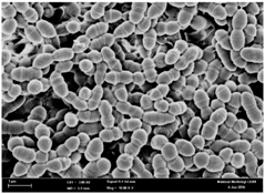 Molecules 22 02135 i004