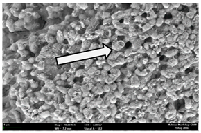 Molecules 22 02135 i026
