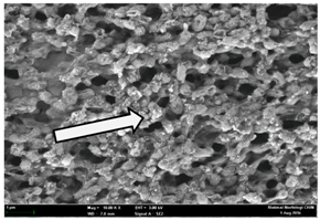 Molecules 22 02135 i027
