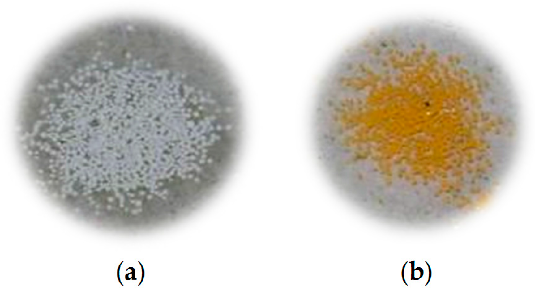 Molecules 22 02136 g005