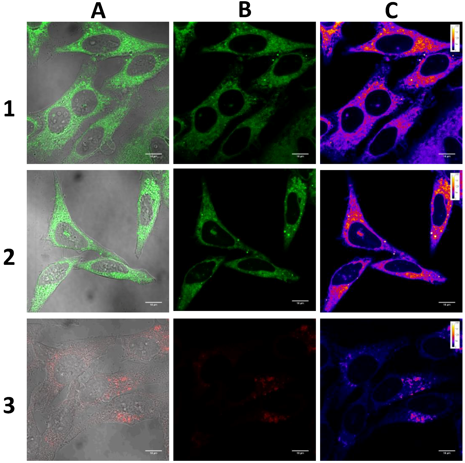 Molecules 22 02148 g013