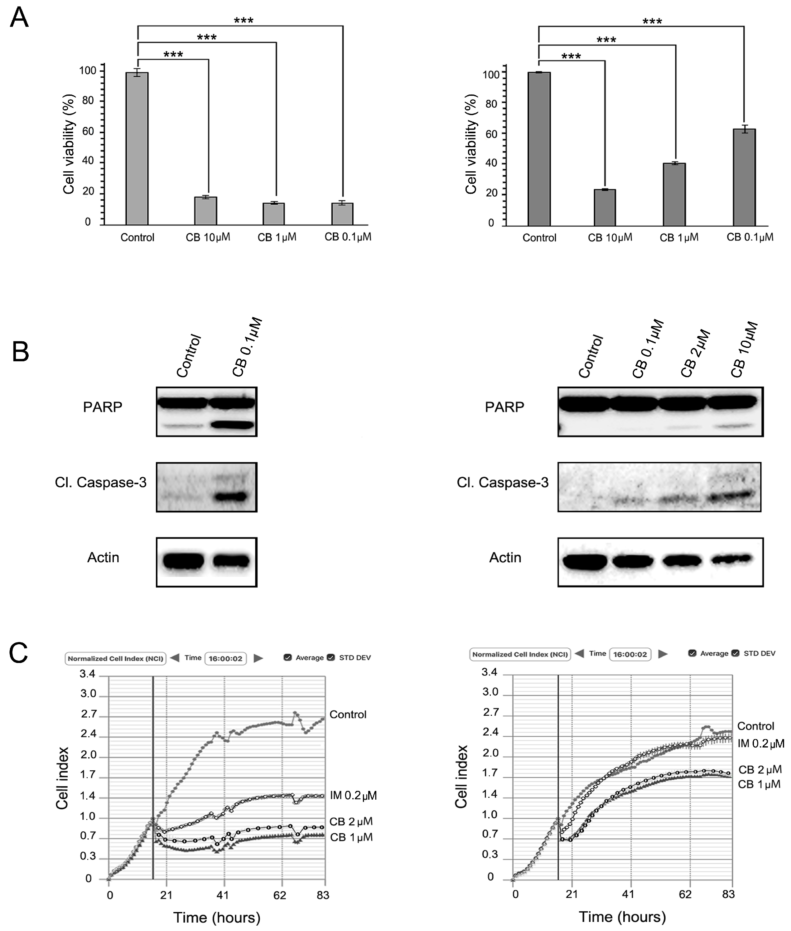 Molecules 22 02152 g003
