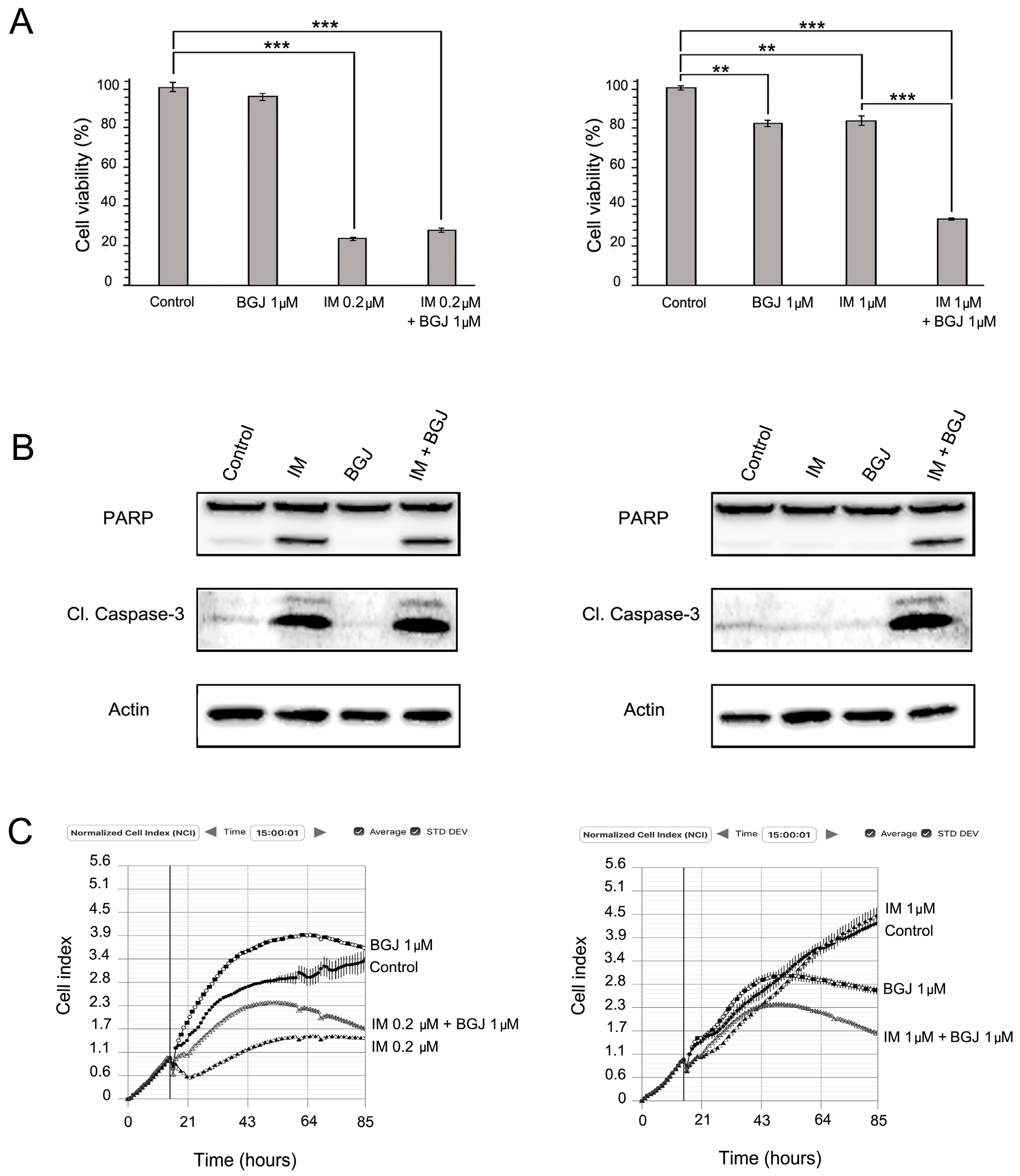 Molecules 22 02152 g004