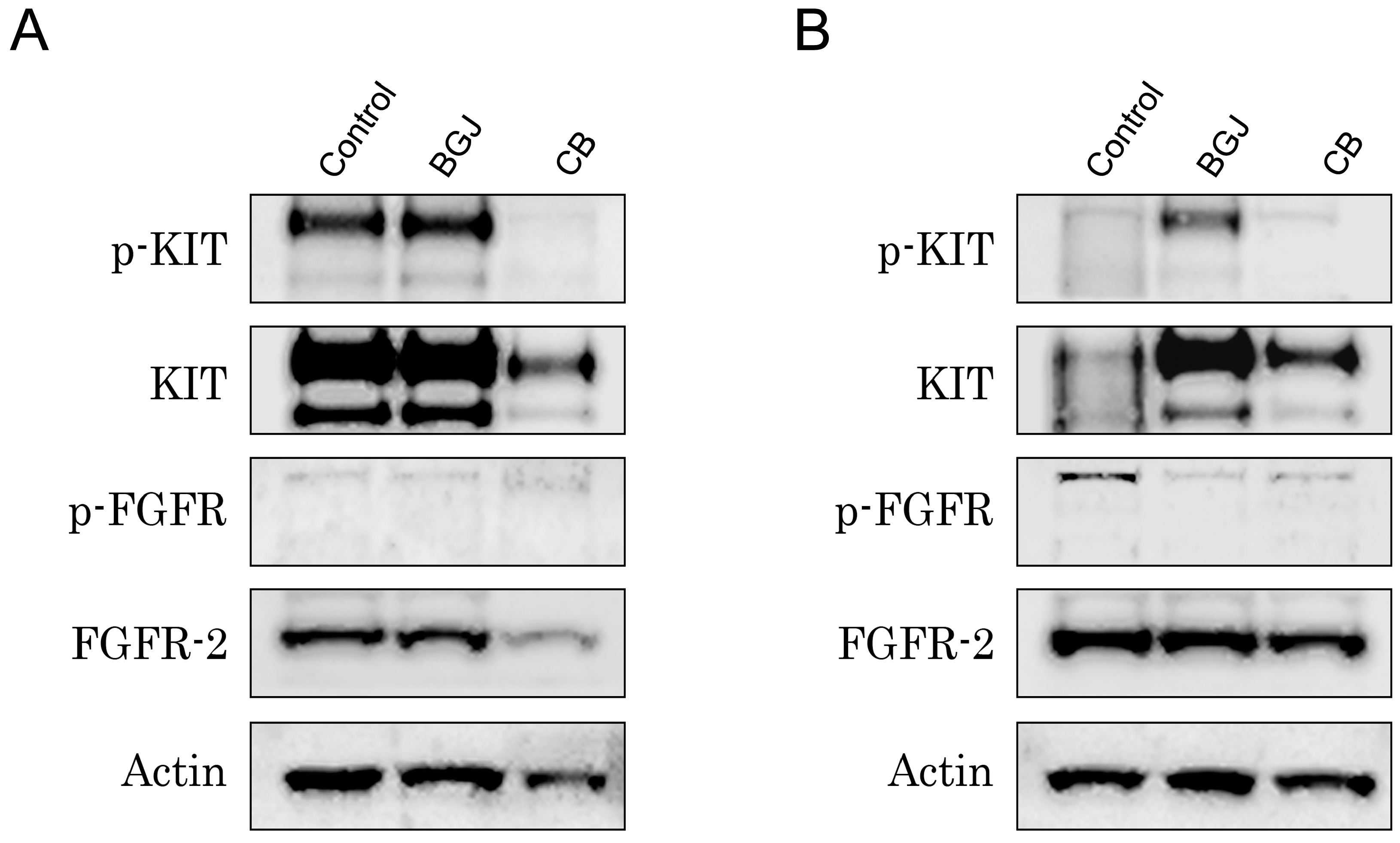 Molecules 22 02152 g005