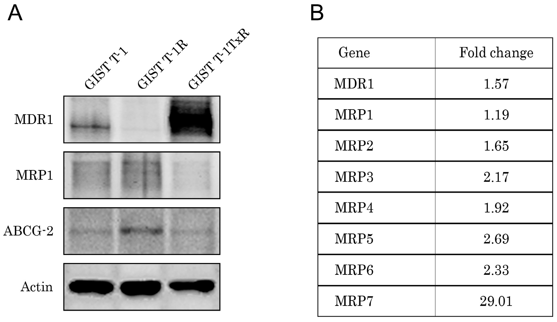 Molecules 22 02152 g006