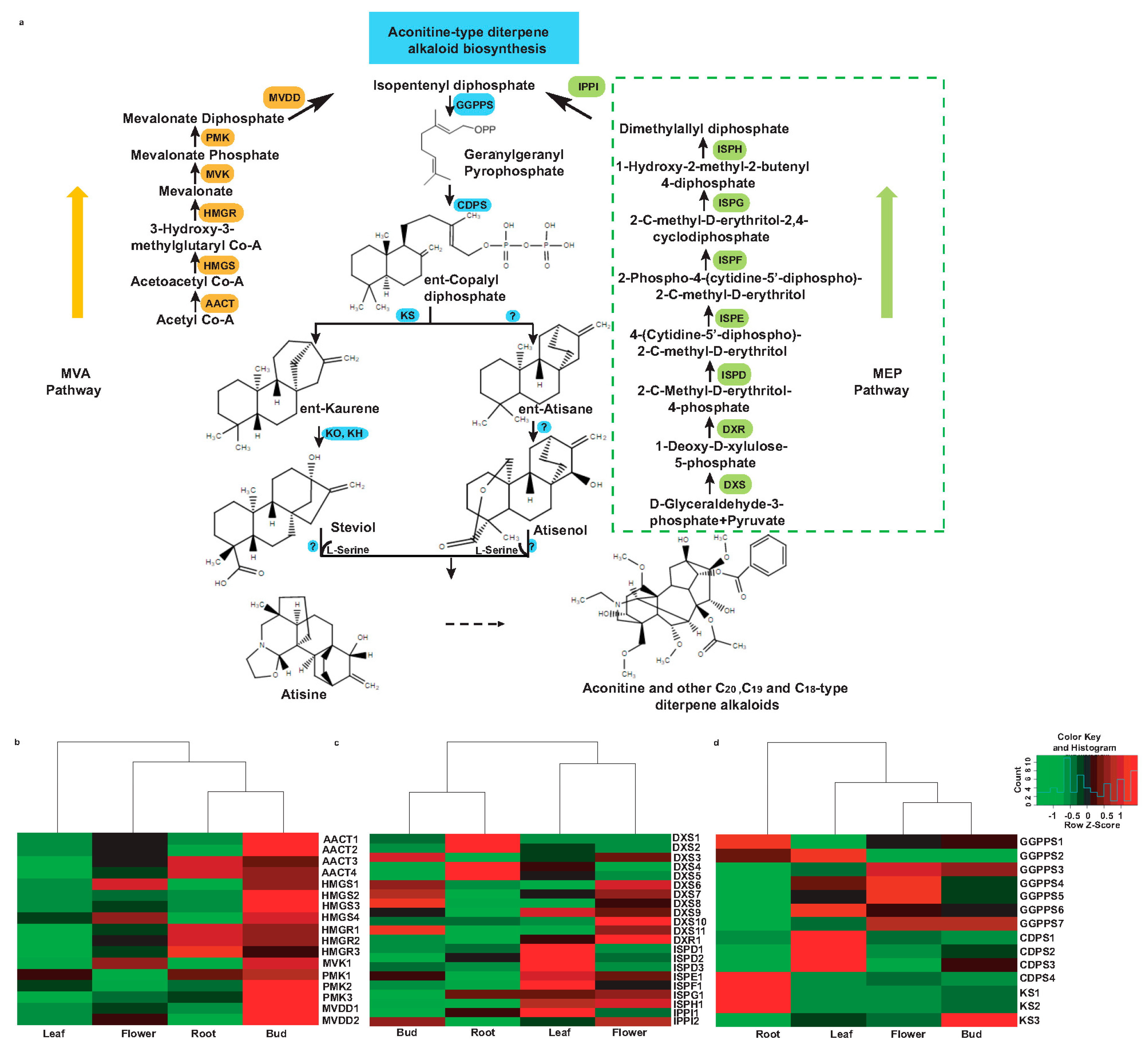 Molecules 22 02155 g008
