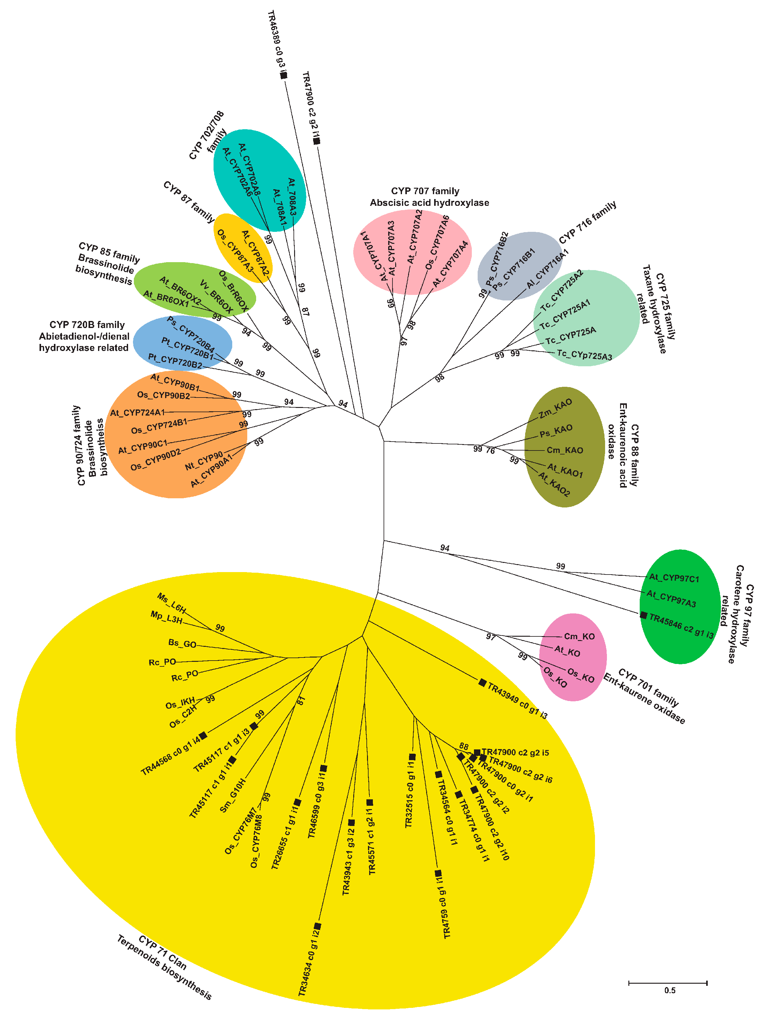 Molecules 22 02155 g009